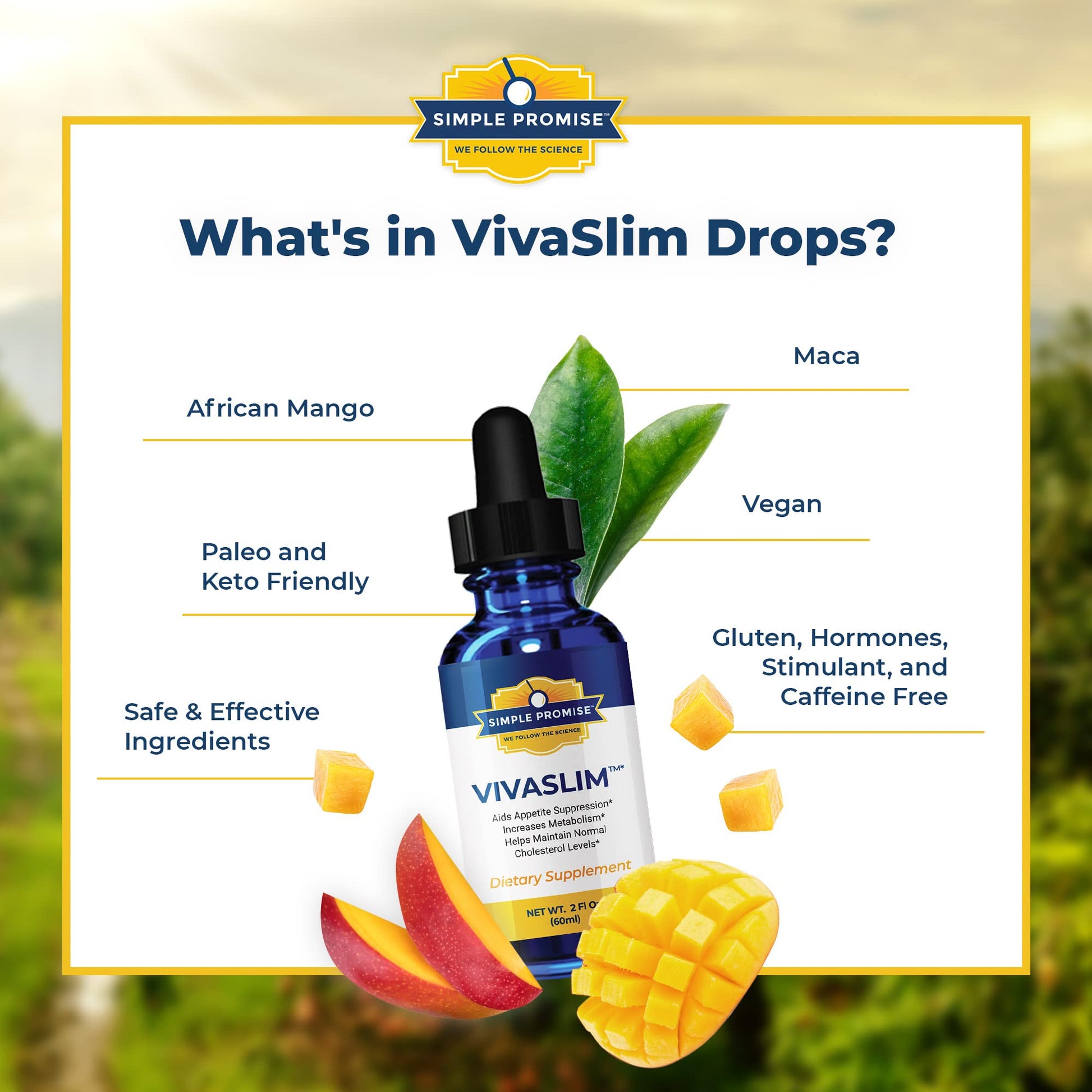 Simple Promise - VivaSlim - Natural Liquid Drops with African Mango, 2 fl oz Simple PromiseAu supplements
