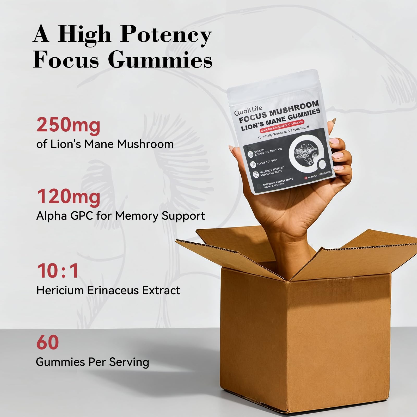 Mushroom Gummies with Lion’s Mane - Alpha Brain Gummy for Focus & Memory - Nootropic Focus Gummies with Rhodiola & Alpha-GPC – Vegan Brain Supplement, Raspberry Pomegranate Flavor, 60 Count (1) QualiLifeAu supplements
