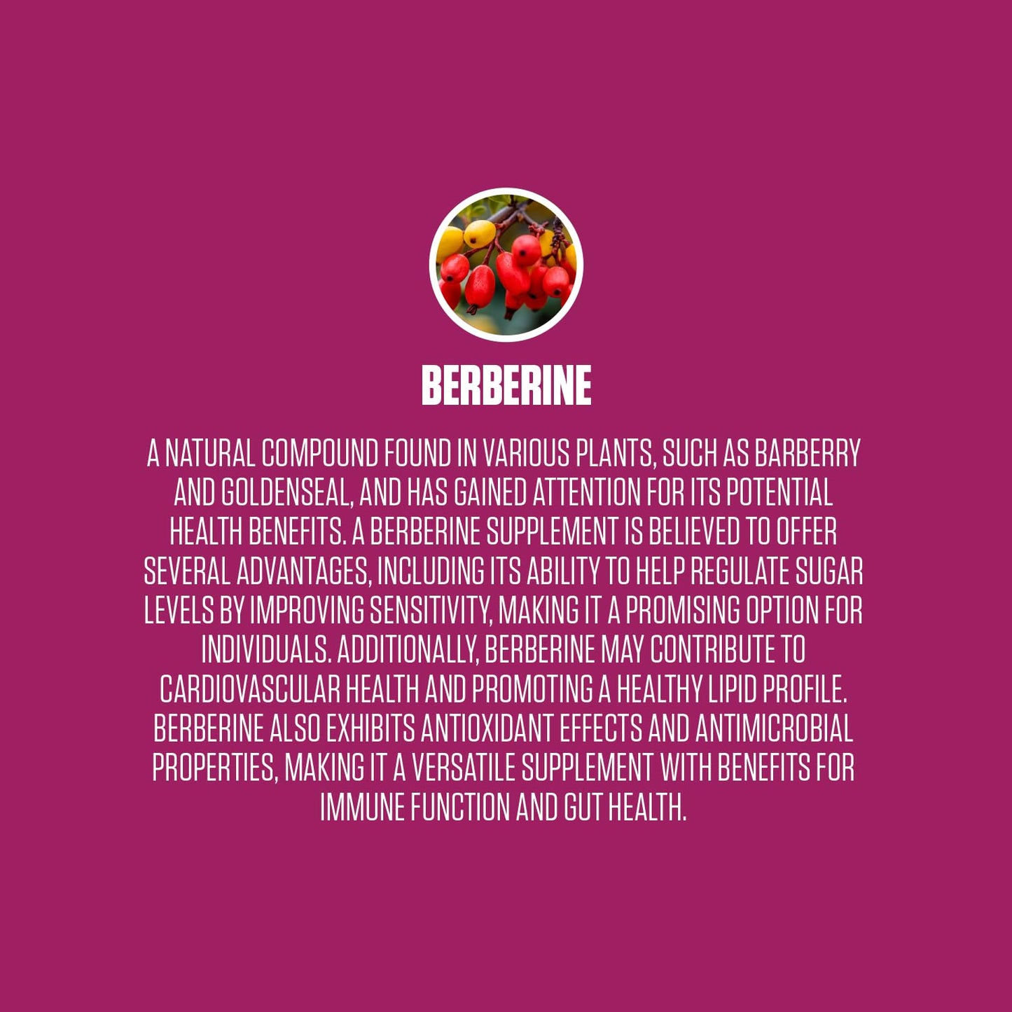 Berberine Extra Strength | #1 Rated Berberine Supplement for Heart Health, Improve Energy EPN SupplementsUS supplements