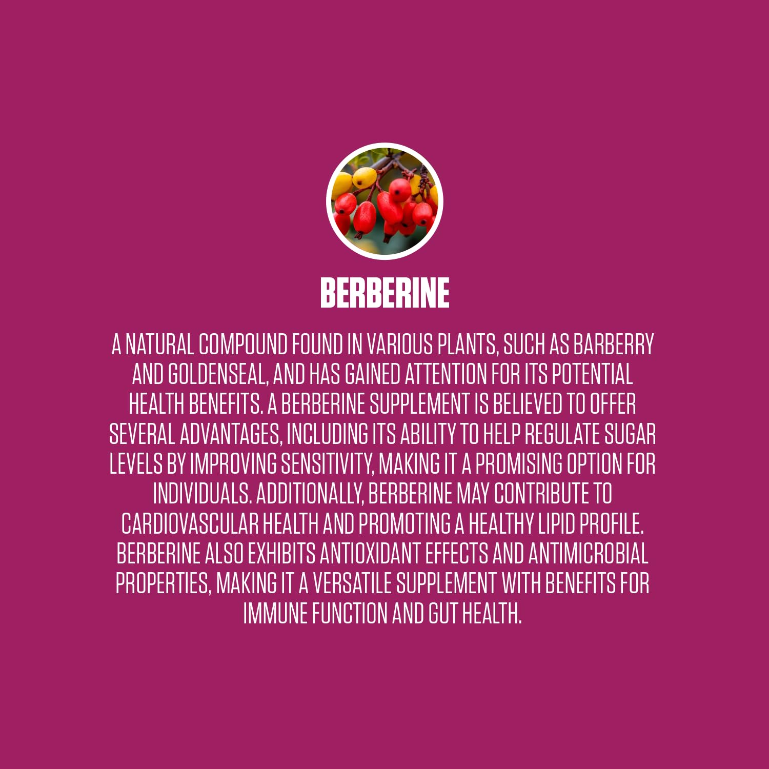 Berberine Extra Strength | #1 Rated Berberine Supplement for Heart Health, Improve Energy EPN SupplementsAu supplements