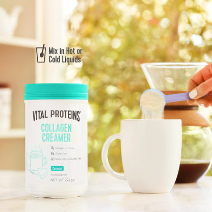 Vital Proteins Collagen Coffee Creamer, No Dairy & Low Sugar Powder with Collagen VITAL PROTEINSUS supplements