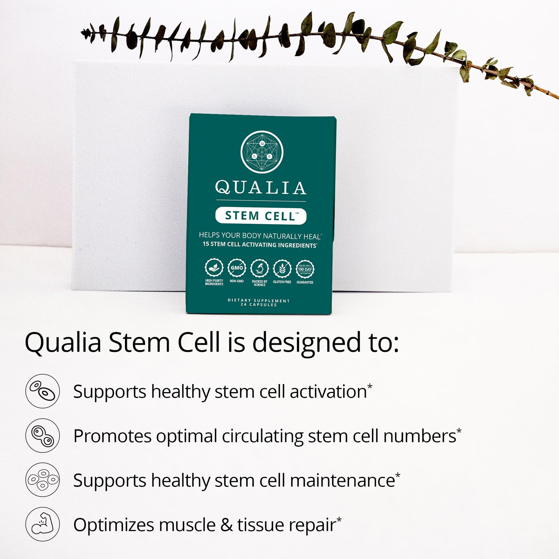 Qualia Stem Cell — Stem Cell Supplement Support with Royal Jelly, Astragalus & Sea Buckthorn | 16 Ingredients | 4 Days a Month | Helps Body Naturally heal* QUALIA LIFE SCIENCESAu supplements
