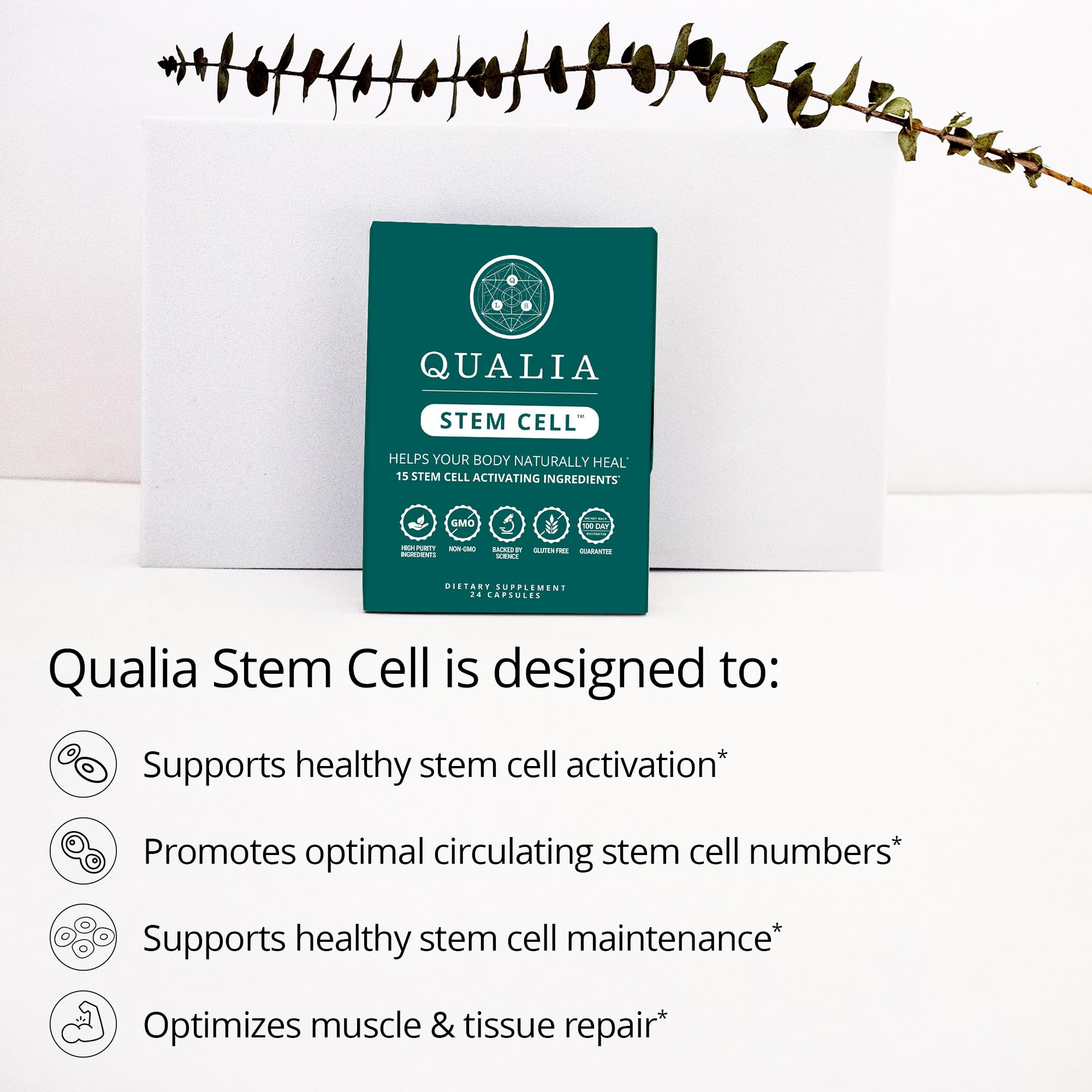 Qualia Stem Cell — Stem Cell Supplement Support with Royal Jelly, Astragalus & Sea Buckthorn | 16 Ingredients | 4 Days a Month | Helps Body Naturally heal* QUALIA LIFE SCIENCESAu supplements