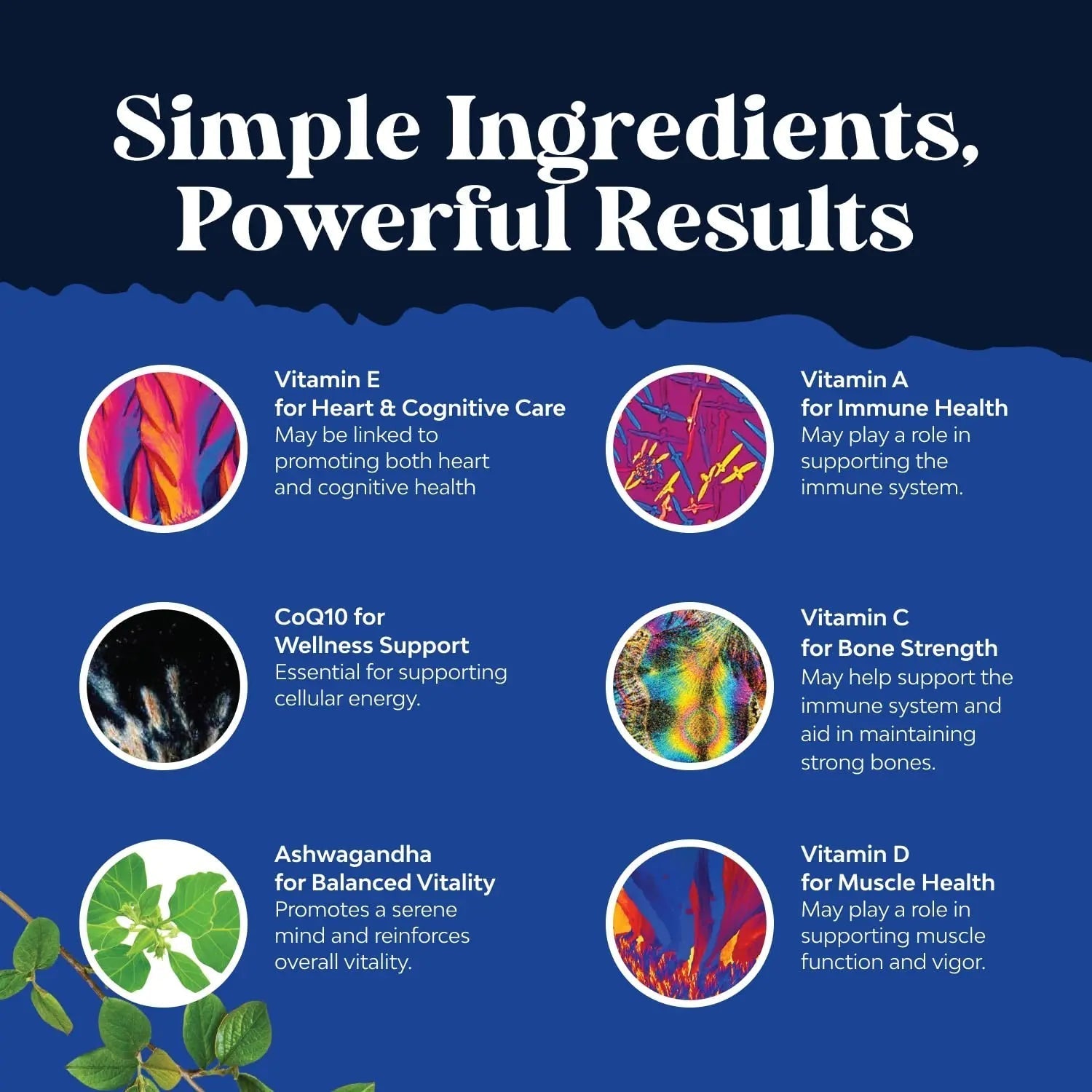 Bundle of Daily Mens Multivitamins Gummies with Zinc and Biotin for Energy and Immunity and Daily Multivitamin for Women Gummies - Gummy Vitamins for Health and Wellness Natures CraftAu supplements