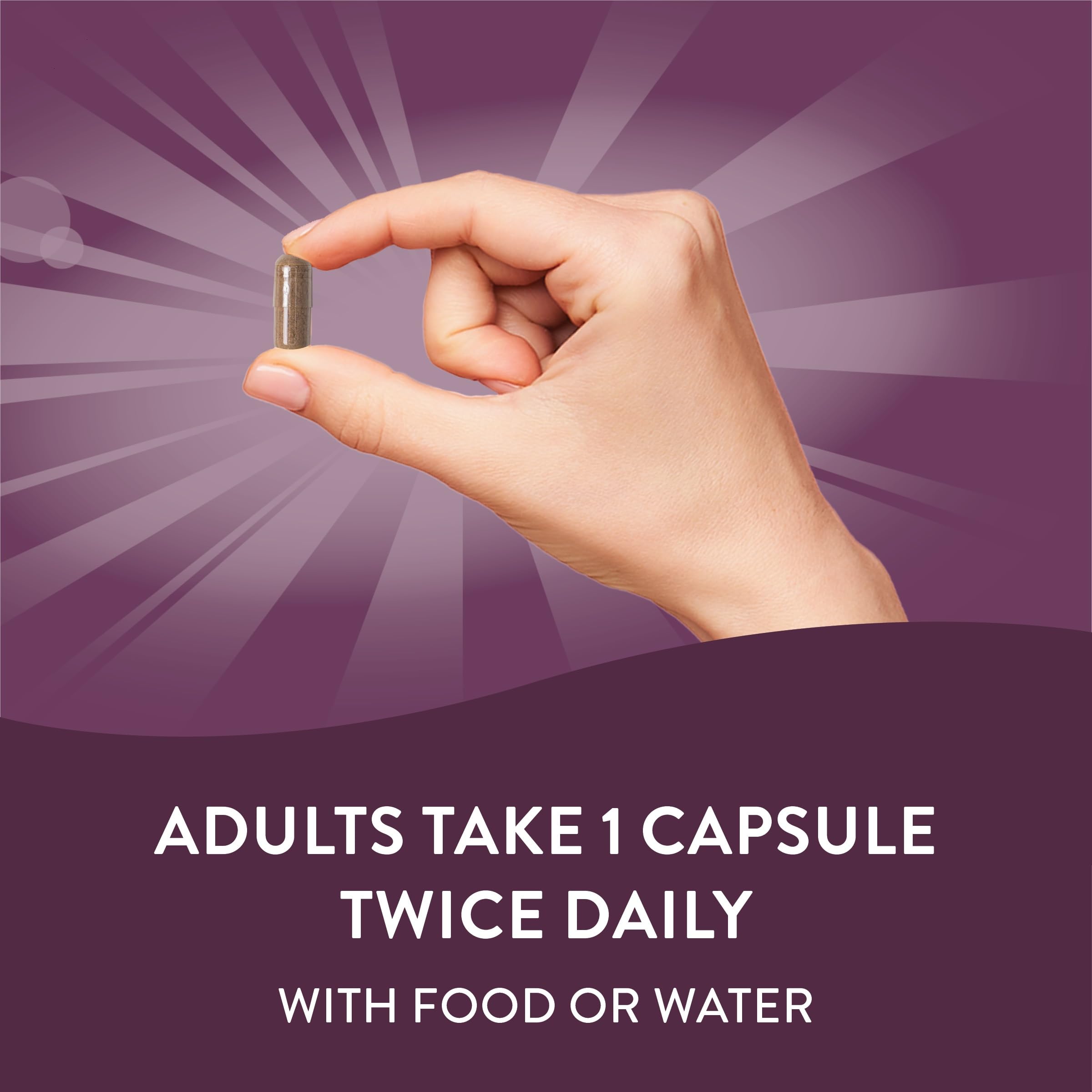 Nature's Way Standardized Horse Chestnut, Premium Extract for Healthy Veins and Blood Nature's WayUS supplements