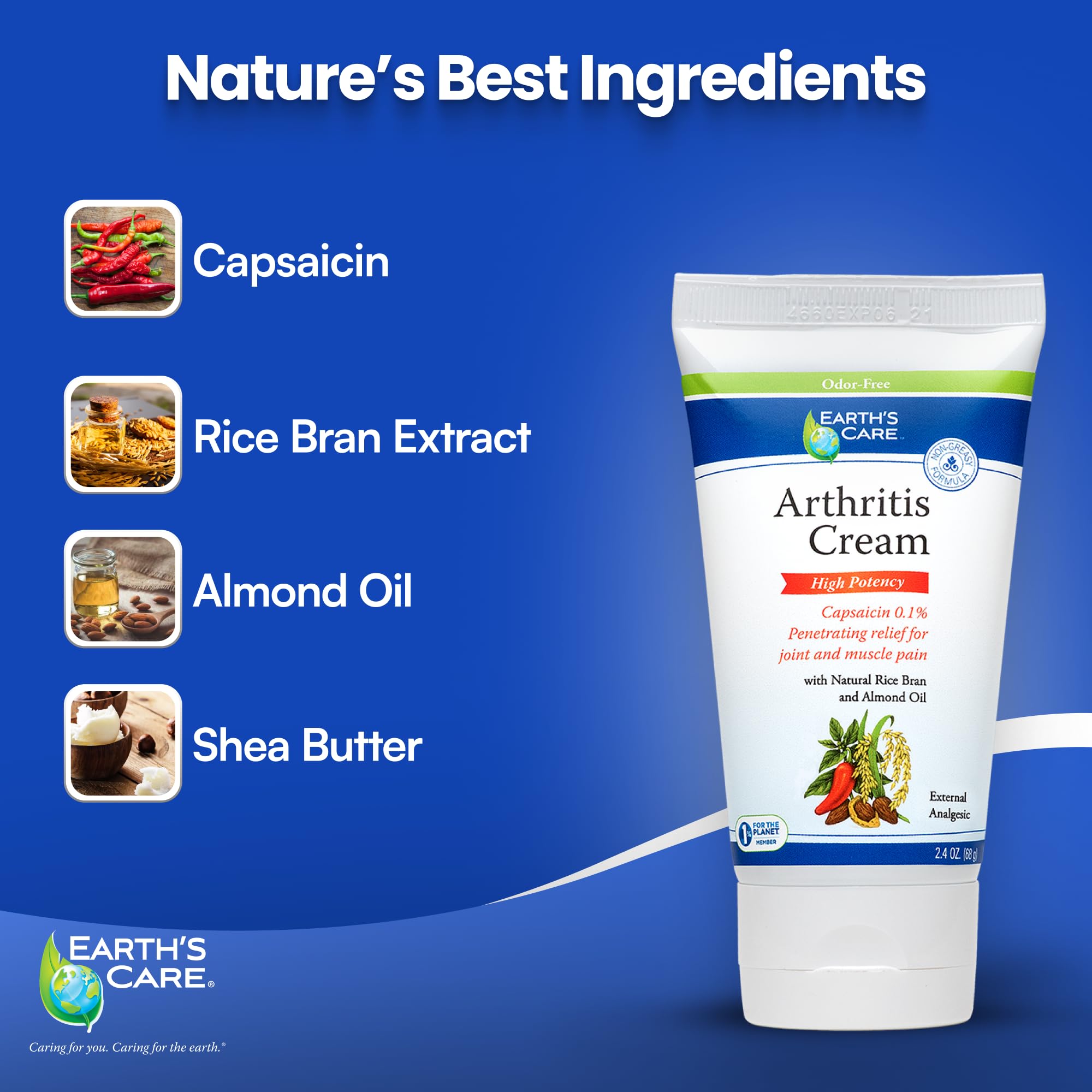 Earth's Care Arthritis Cream - Joint Cream with Natural Capsaicin - Topical Analgesic 2.4 OZ (Pack of 2) Earth's CareAu supplements