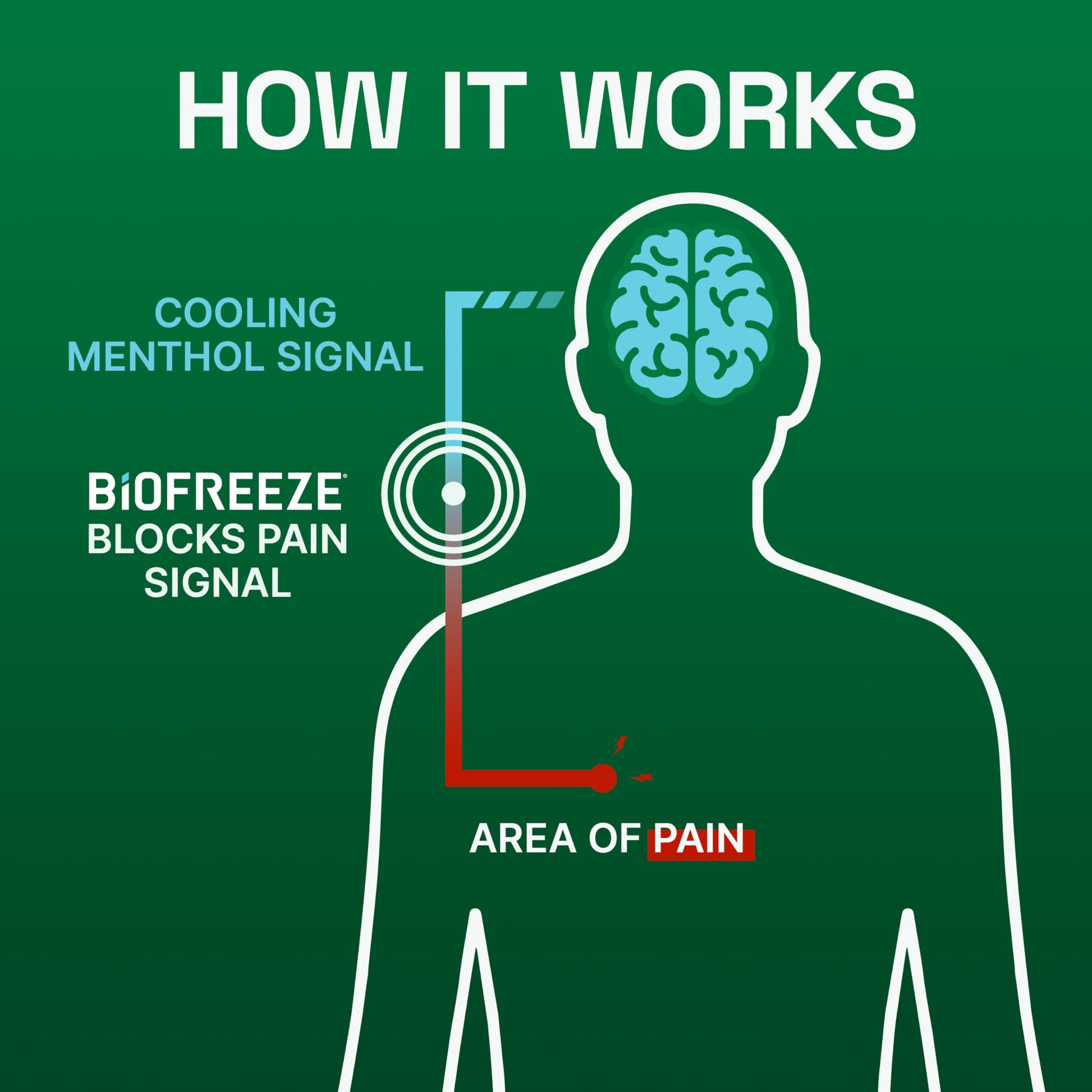 Biofreeze Menthol Pain Relieving Patches (5 Patches Per Box) Up To 8 Hours Of Pain Relief From Sore Muscles, Arthritis, Backaches, Spains, Bruises, Strains And Joint Pain (Package May Vary) BiofreezeAu supplements