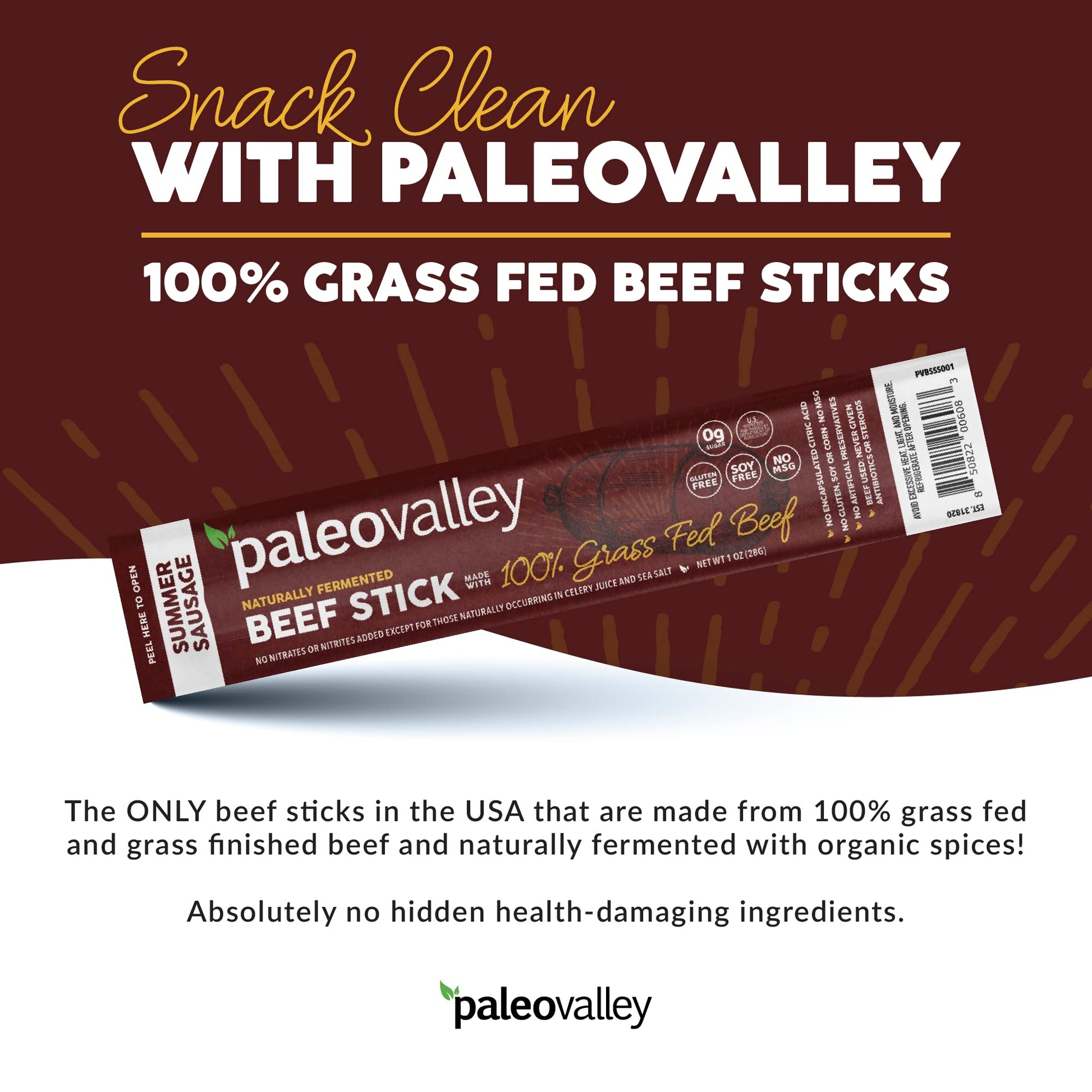 Paleovalley 100% Grass Fed Summer Sausage Beef Sticks - Delicious Gluten Free Beef Snack - High Protein Keto Friendly PaleovalleyUS supplements