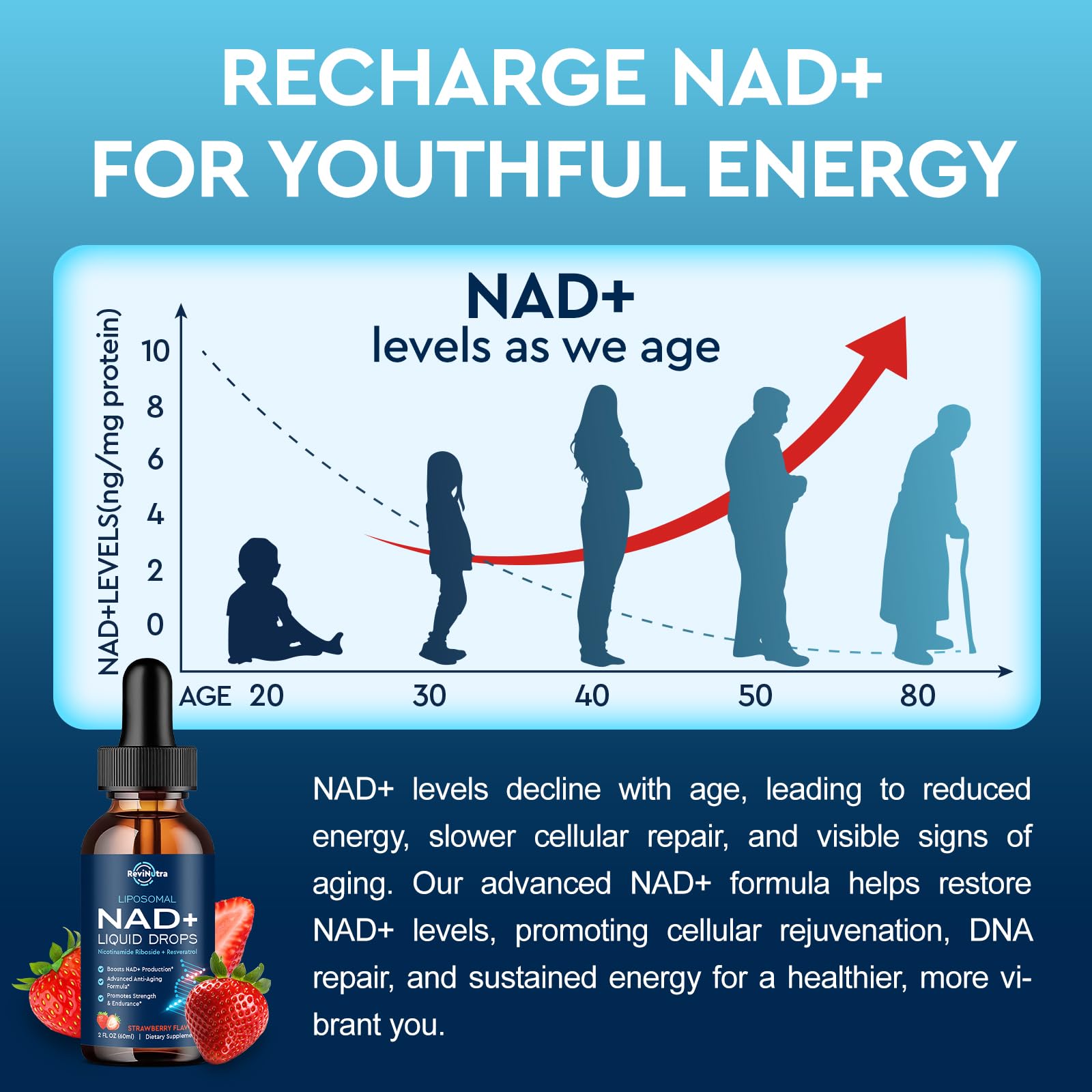 Liposomal NAD+ Liquid Supplement, Nad Resveratrol Supplement for Women & Men, Nicotinamide Riboside with PQQ, CoQ10, Quercetin for Anti-Aging, Brain, Cellular Energy Health, Strawberry Flavor, 2 Fl Oz ReviNutraAu supplements