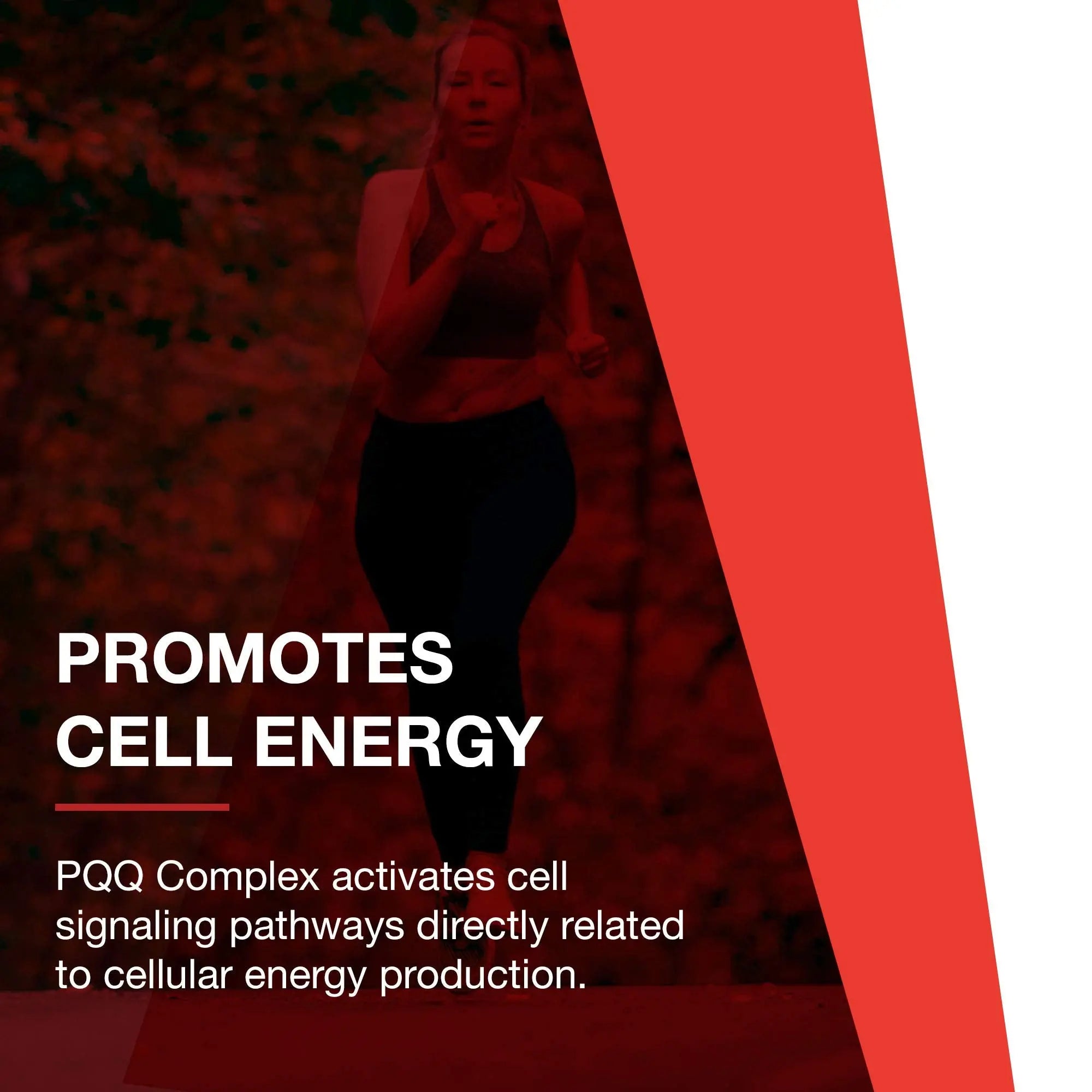 PROTOCOL FOR LIFE BALANCE PQQ Complex - Mitochondrial Health - with CoQ10 & L Carnitine - B Vitamin - Supplement for Energy - 30 Veg Caps PROTOCOL FOR LIFE BALANCEAu supplements