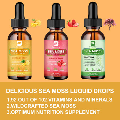 B BEWORTHS Sea Moss Liquid Drops - Organic Irish Sea Moss Gel with Burdock Root B BEWORTHSUS supplements
