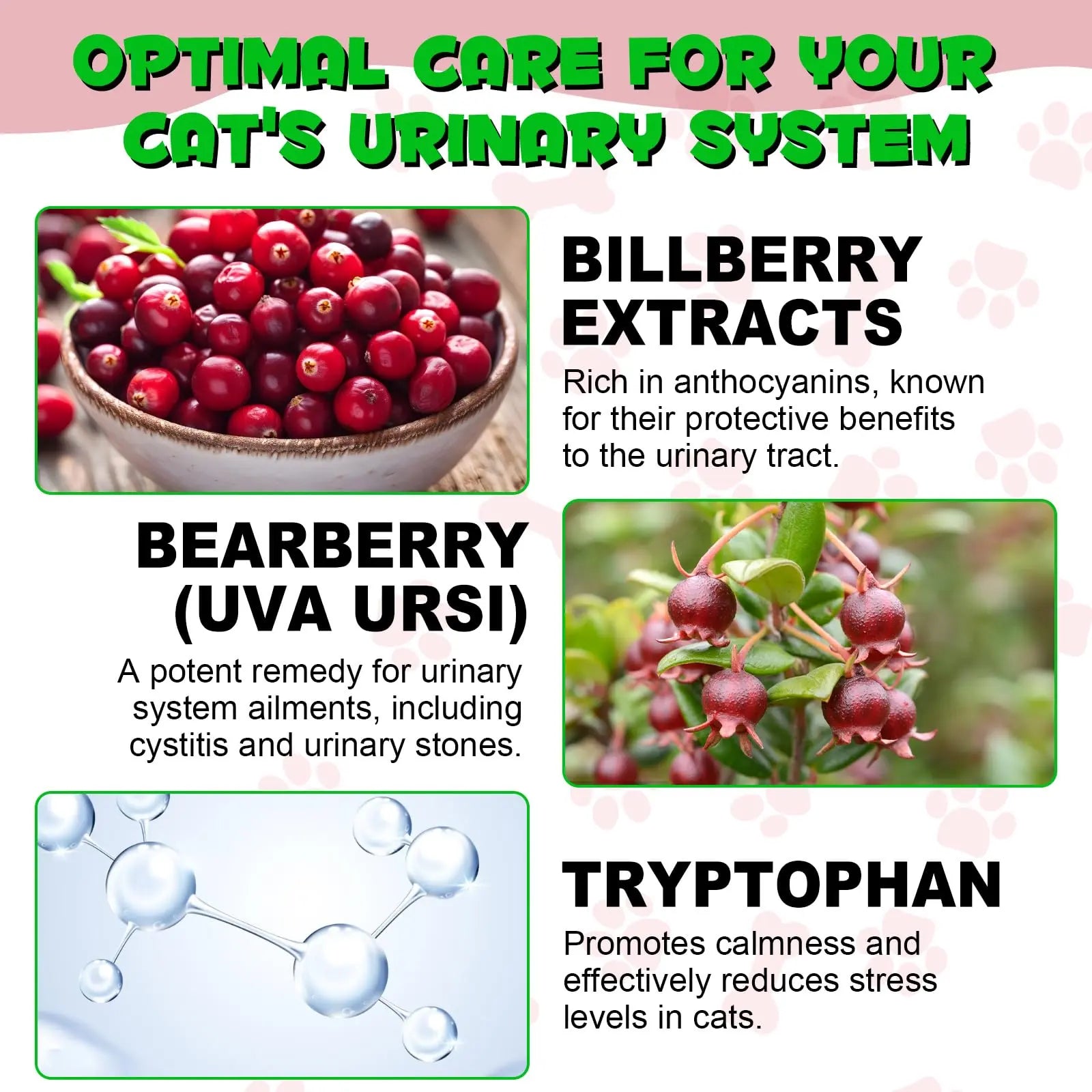 Cat Urinary Tract Infection Treatment, Cat UTI Treatment Drops Supports Bladder, Kidney Stone, Cranberry Kidney Bladder Support Supplement, Chicken Flavor, 60ml BTQAFVZTAu supplements