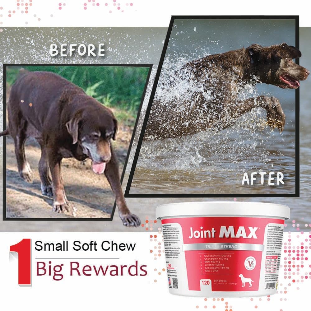 Joint Max TS Joint Supplement Vet Formulated Pain & Inflammation Relief Treats Hip Dysplasia & Arthritis, Glucosamine, Chondroitin, Turmeric, MSM, HA, Creatine, Omega 3 EPA + DHA.120 Soft Chews Joint MaxAu supplements