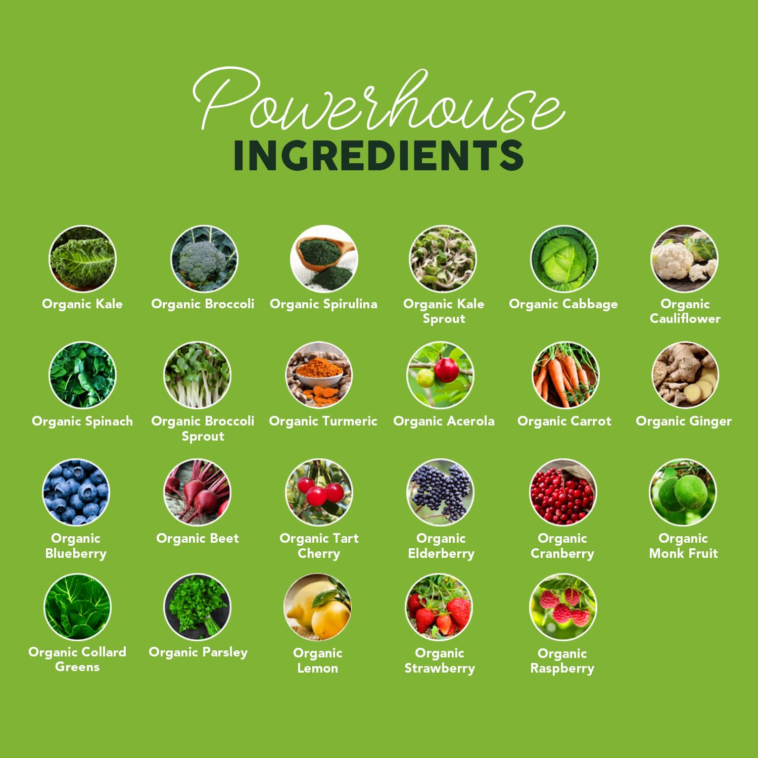 Paleovalley Organic Supergreens Powder - 23 Superfoods with Prebiotic Fiber for Energy and Immunity Support - No Cereal Grasses for Maximum Absorption - Pure Unflavored, 30 Servings PaleovalleyAu supplements