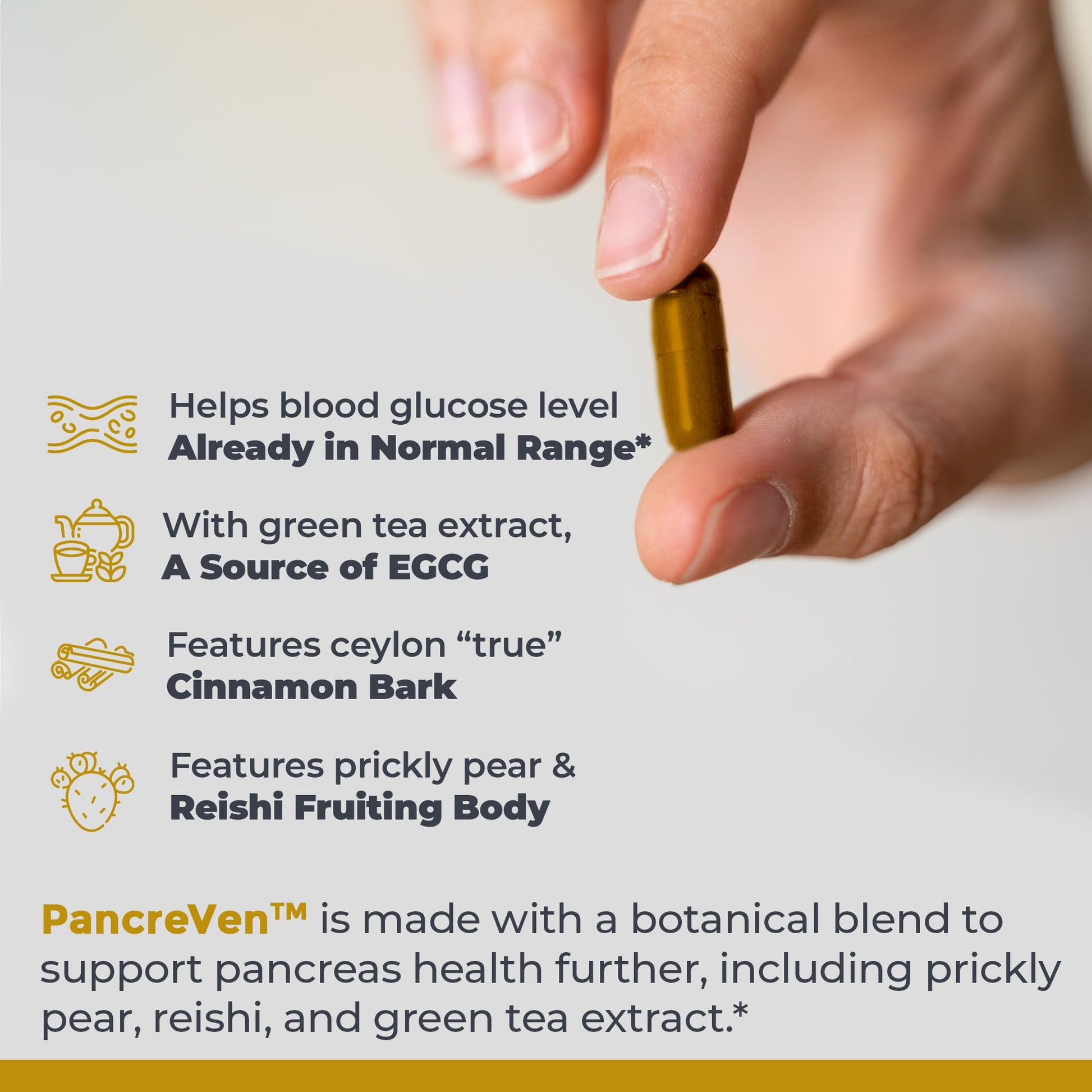 Premier Research Labs PancreVen - Pancreas Support, Pancreas Supplement, Cinnamon Supplements with Organic Ceylon Cinnamon & Prickly Pear to Aid Pancreas Health - 120 Vegetarian Capsules Premier Research LabsAu supplements