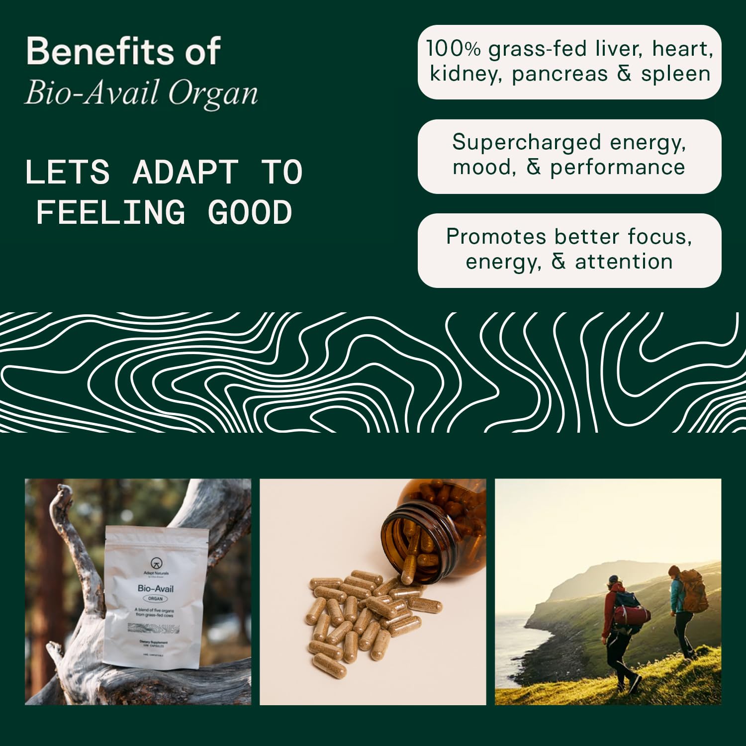 Adapt Naturals Organ Supplement, Bioavailable Grass Fed Beef Liver Capsules, Blend of Liver, Heart, Kidney, Pancreas & Spleen, Support Liver Cleanse Detox & Repair | Source of CoQ10-30 Days Supply ADAPT NATURALS BY CHRIS KRESSERAu supplements