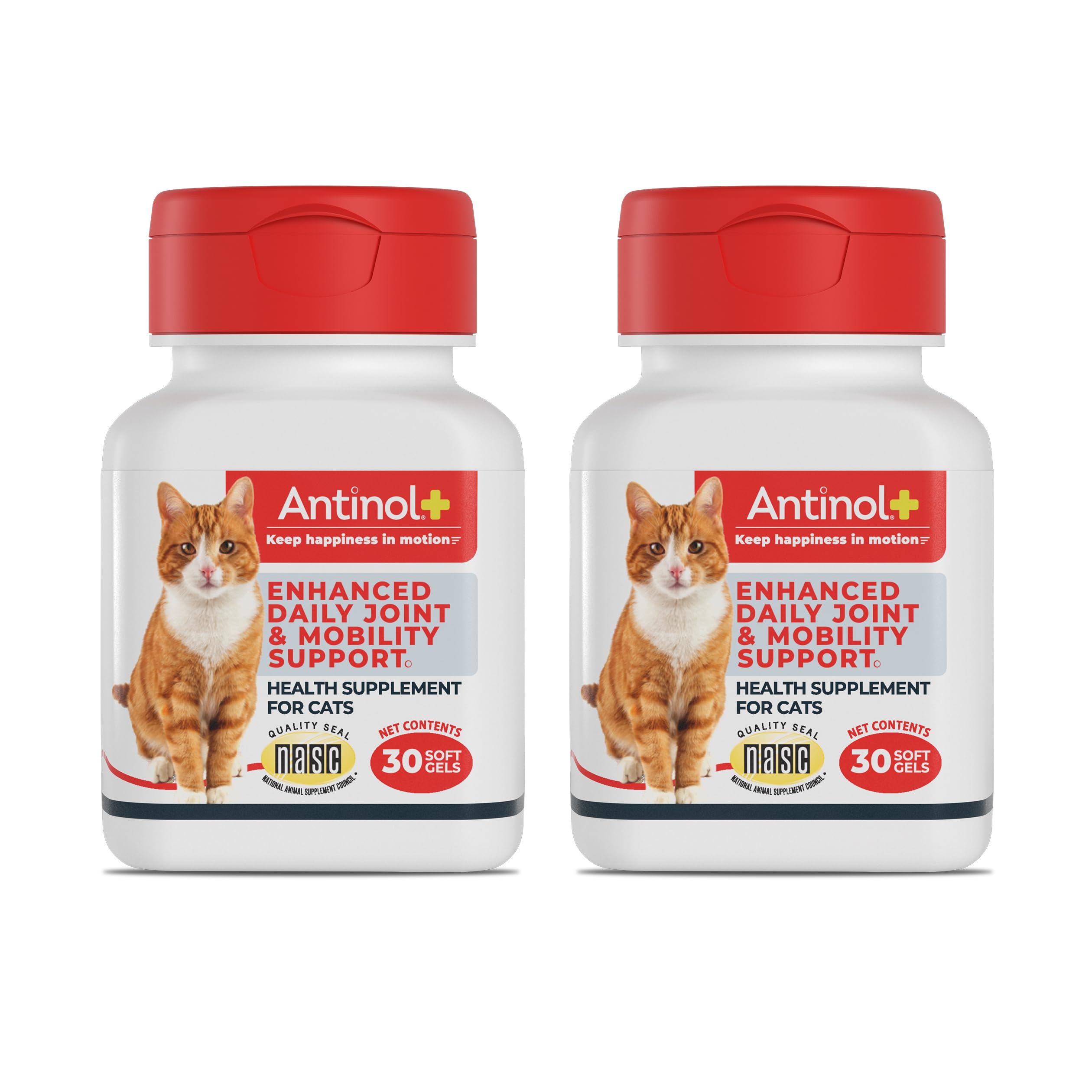 Antinol Plus, Mobility, Hip, and Joint Supplement for Cats, Green-Lipped Mussels and Krill Oil - Cat Joint Supplement, 60 Soft Gels AntinolAu supplements