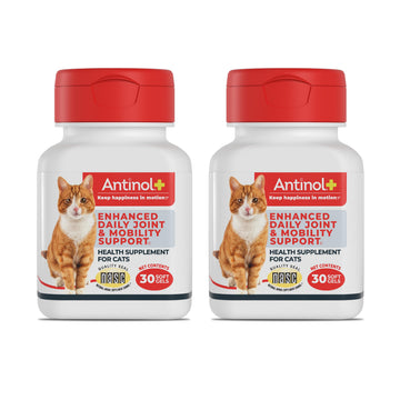 Antinol Plus, Mobility, Hip, and Joint Supplement for Cats, Green-Lipped Mussels and Krill Oil - Cat Joint Supplement, 60 Soft Gels AntinolAu supplements