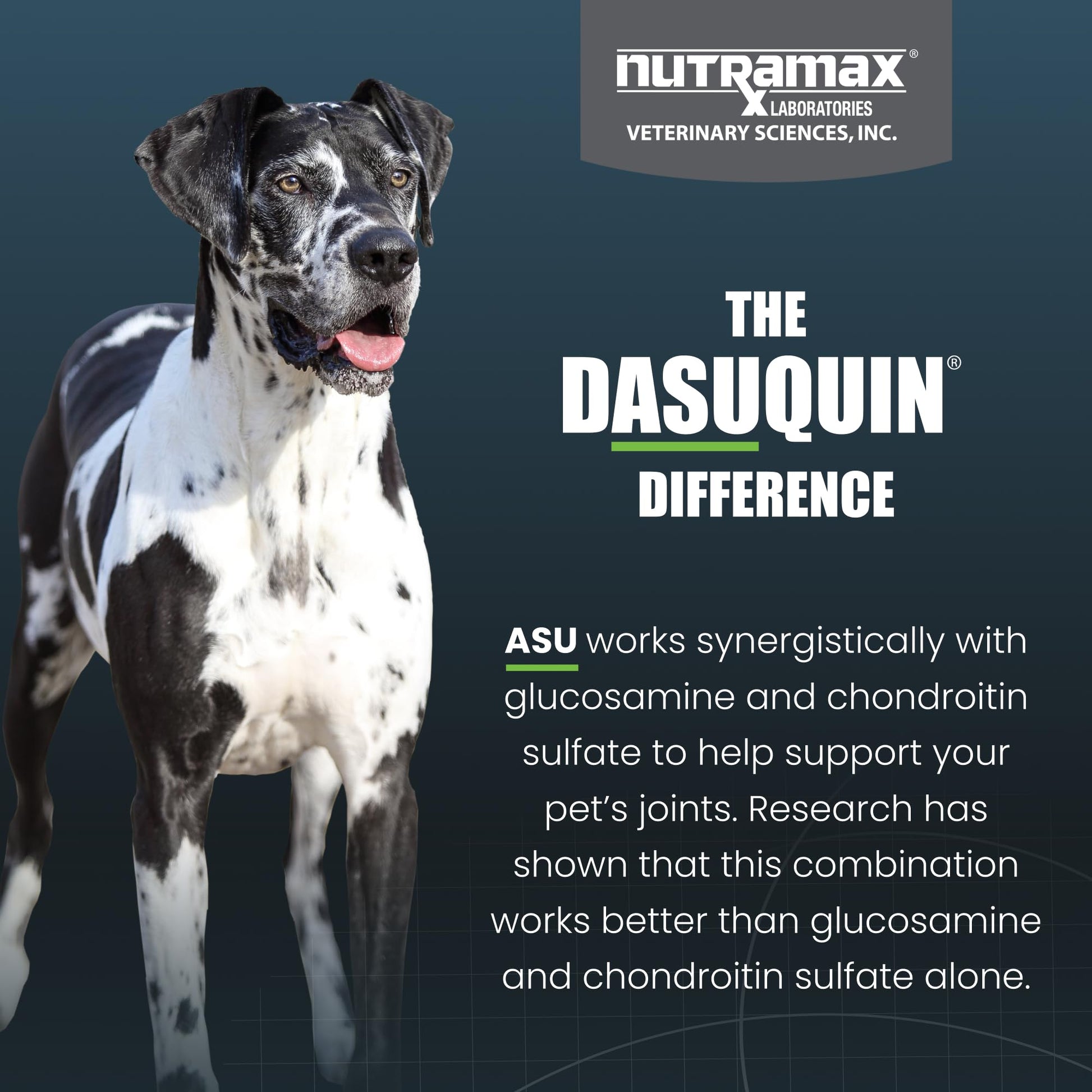 Nutramax Dasuquin for Large Dogs, Joint Health Supplement, Contains Glucosamine for Dogs, Plus Chondroitin, ASU, MSM and More, Supports Healthy Joints, Chewable Tablets, 150 Count Nutramax LaboratoriesAu supplements