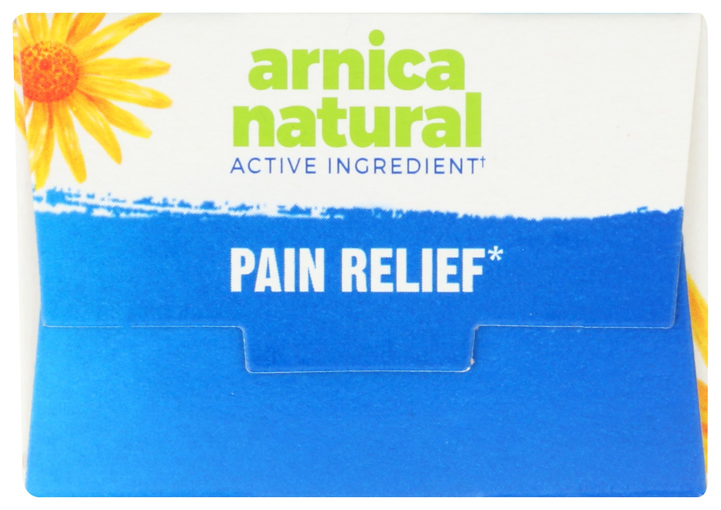 Boiron Arnicare Cream for Joint Pain, Muscle Pain, Swelling, Soreness, Stiffness, and Bruises - Fast Absorbing and Fragrance-Free - 4.2 oz BoironAu supplements