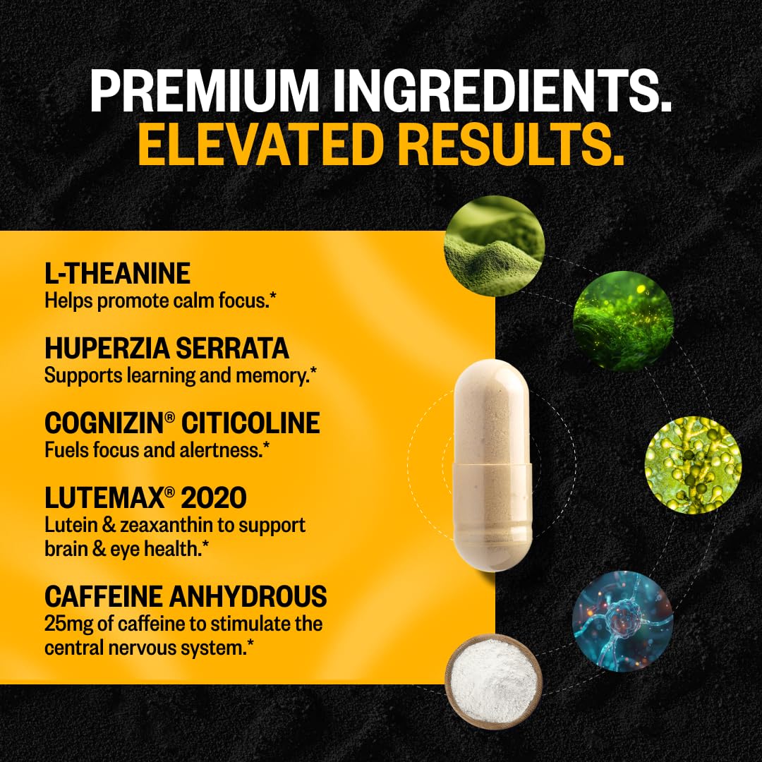 ONNIT Alpha Brain Black Label Capsules, IGEN Non-GMO Tested Citicoline Brain Supplement for Concentration and Memory, Lion’s Mane, Lutemax Lutein, L Theanine and Mucuna Pruriens, 80 Count ONNITAu supplements