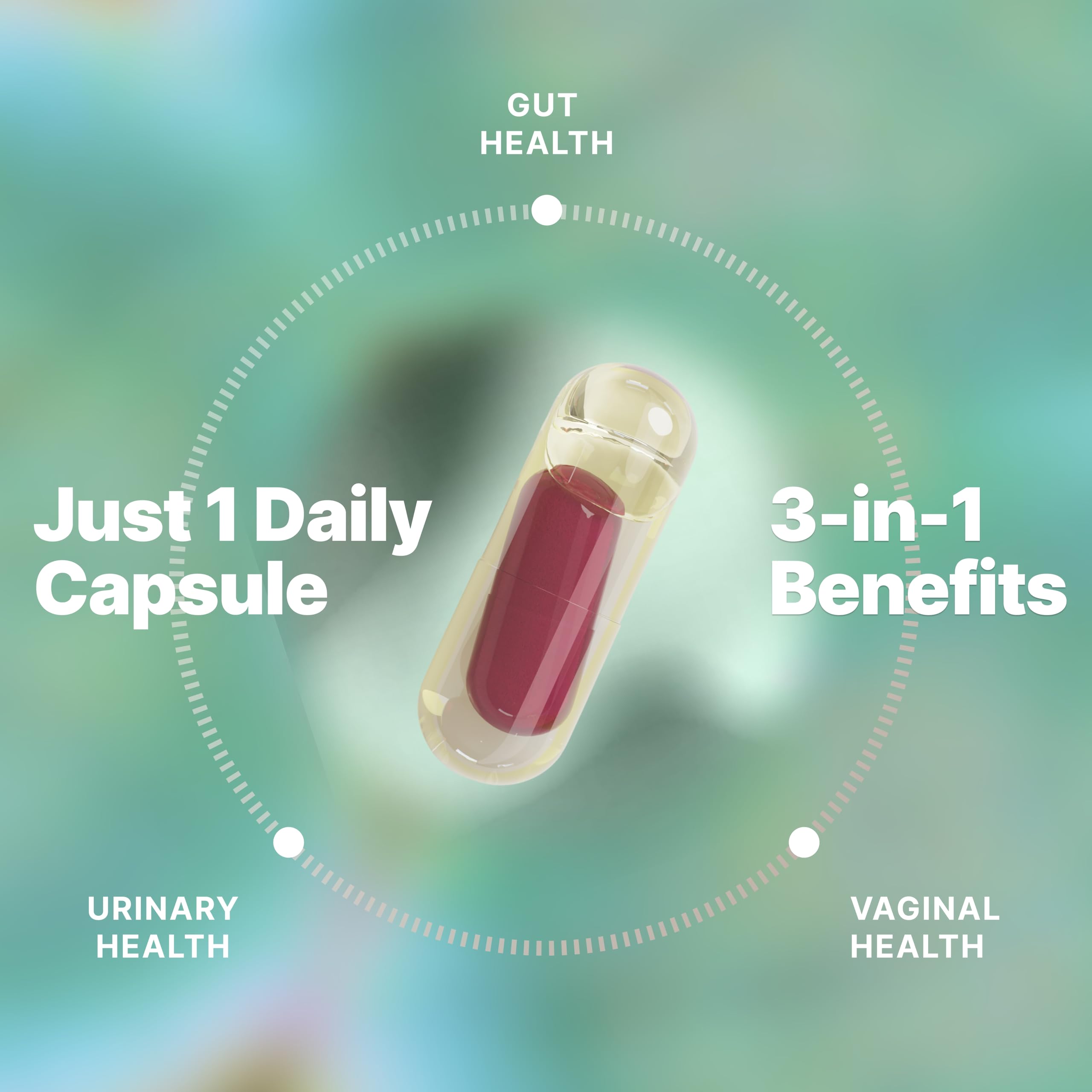 Evvy Women's 3-in-1 Complete Probiotic I Daily Probiotic Supplement to Reduce Bloating I Supports Gut, Urinary & Vaginal Health | Includes Vaginal Probiotics for Feminine Care | 30 Day Supply EvvyAu supplements