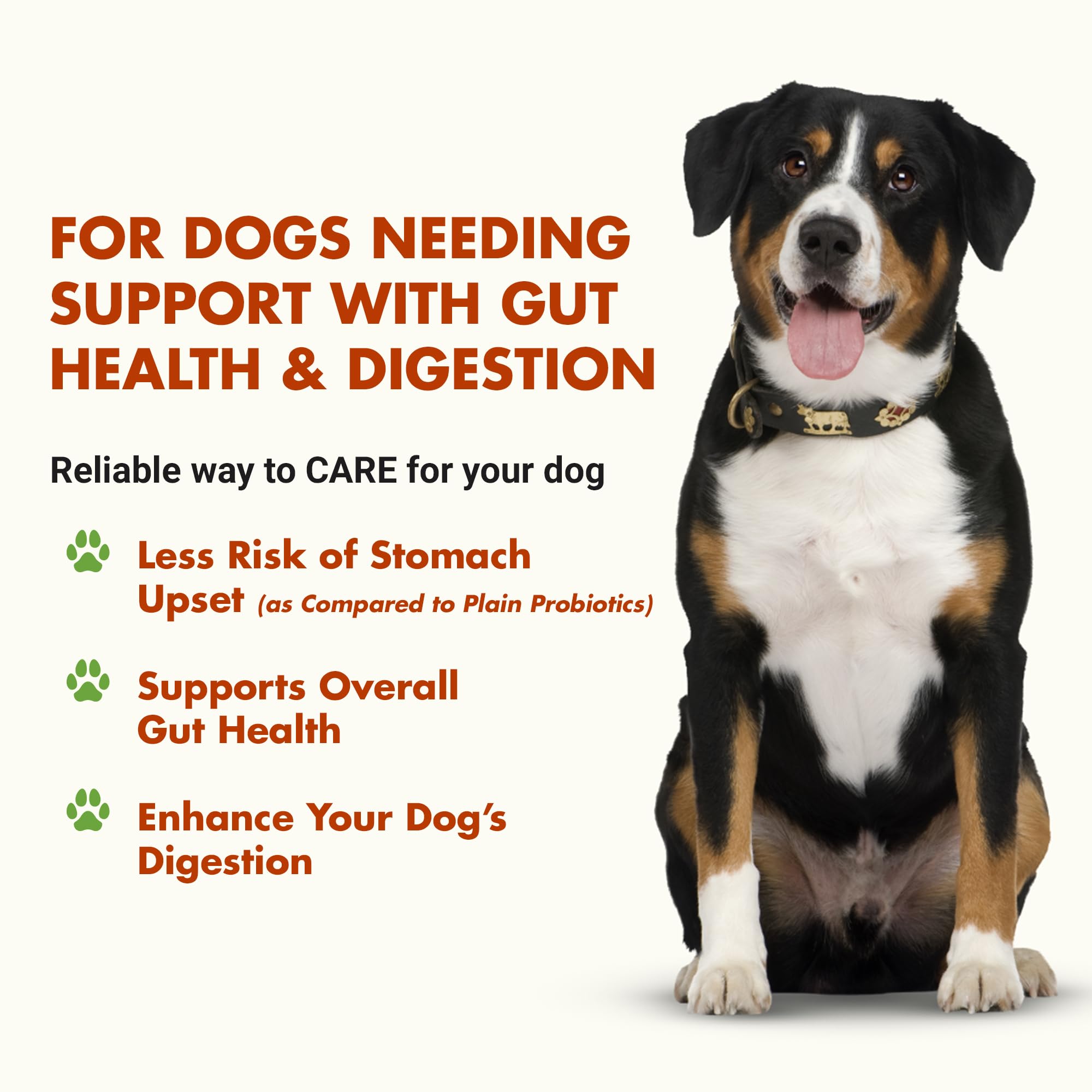 Pre & PostBiotic Support for Dogs – Digestive Upset, Stool Quality & Sensitive Stomach Support – Easy Liquid Formula for Picky Eaters LIQUID-VETAu supplements