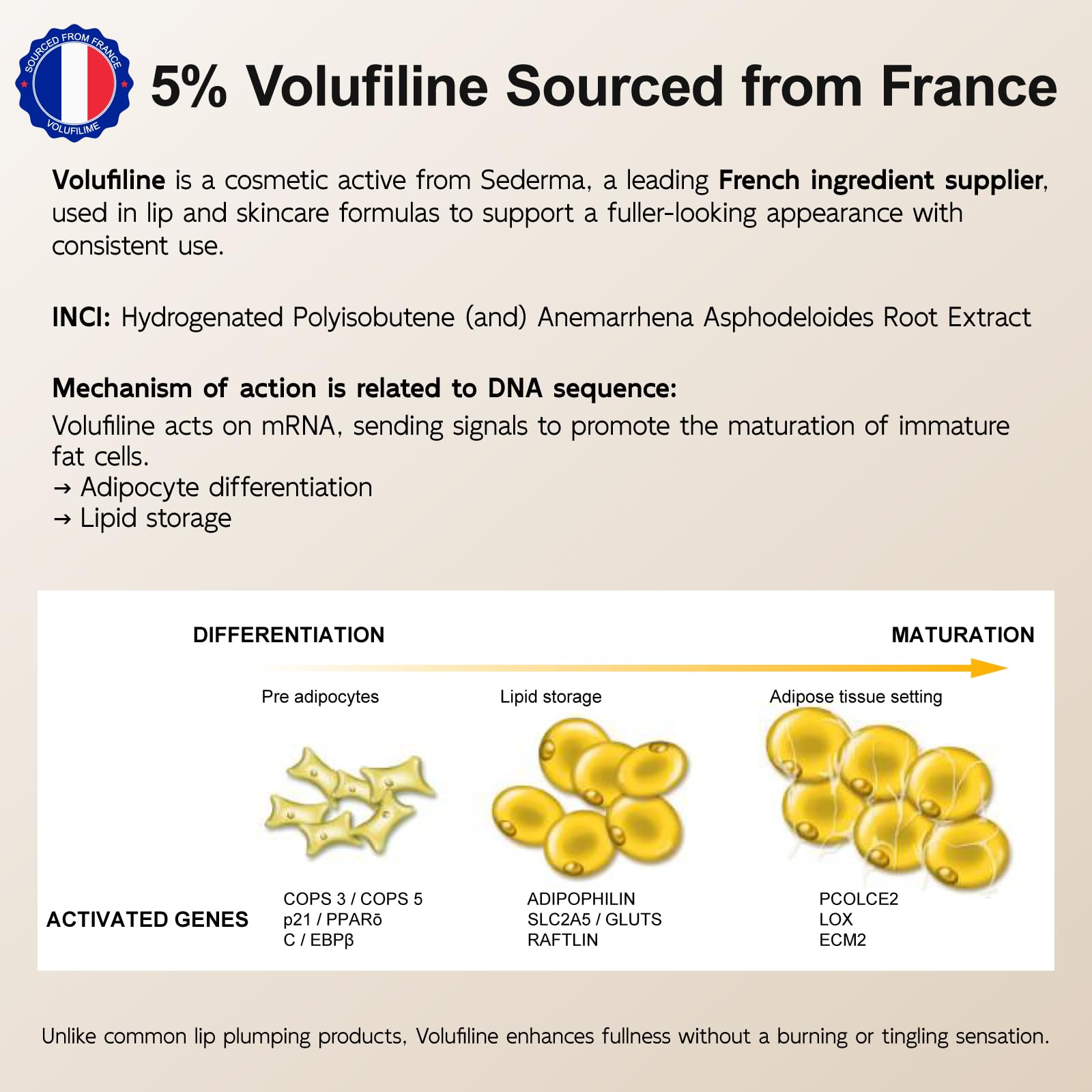 YouthVibe 5% Volufiline Lip Plumper, Nourishing & Anti Aging Over Time with Squalane, Shea Butter, Collagen, Peptide & PDRN - No Burning, No Tingling for Gentle Daily Plumping YouthVibeAu supplements