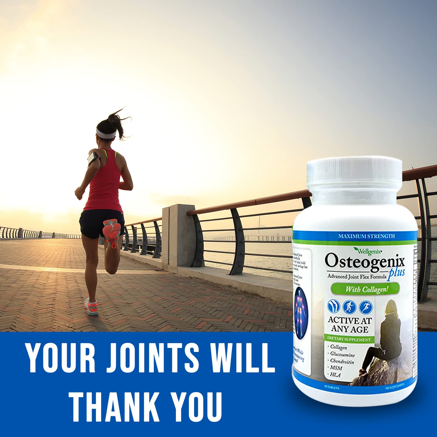 Wellgenix Osteogenix Advanced Joint Flex Formula (90 Ct) - Knee Supplement with Collagen II, Glucosamine, Chondroitin, MSM & HLA - Lubrication & Discomfort Support Tablets for Men & Women WellgenixAu supplements