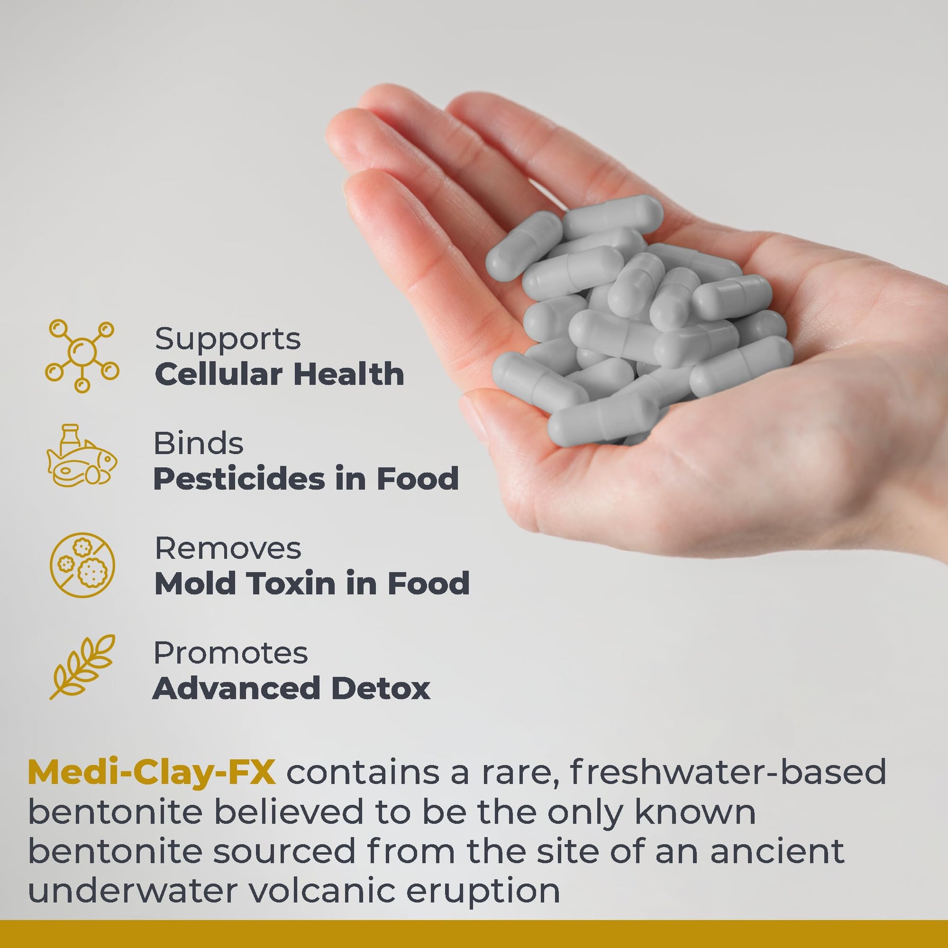 Premier Research Labs Medi-Clay-FX: Bentonite Clay Capsules for Detoxification | Food Grade Smectite Supplement | Absorb Toxins, Supports Cellular Health and Mold Detox - 90 Capsules Premier Research LabsAu supplements