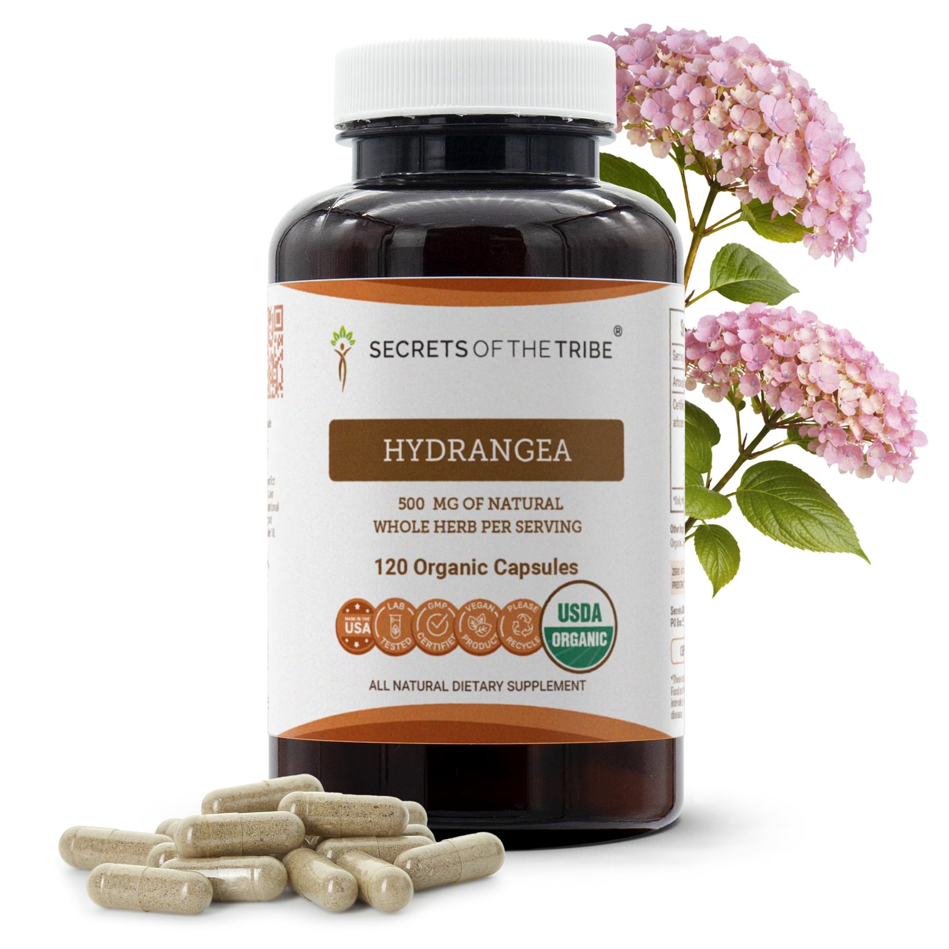 Secrets of the Tribe Hydrangea USDA Organic Capsules | Certified Organic Vegetarian Capsules, Herbal Dietary Supplement | Hydrangea arborescens Dried Root (120 Count) Secrets of the TribeAu supplements