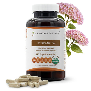 Secrets of the Tribe Hydrangea USDA Organic Capsules | Certified Organic Vegetarian Capsules, Herbal Dietary Supplement | Hydrangea arborescens Dried Root (120 Count) Secrets of the TribeAu supplements