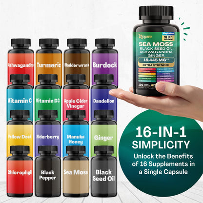 Zoyava Sea Moss 7000mg Black Seed Oil 4000mg Ashwagandha 2000mg Turmeric ZoyavaUS supplements