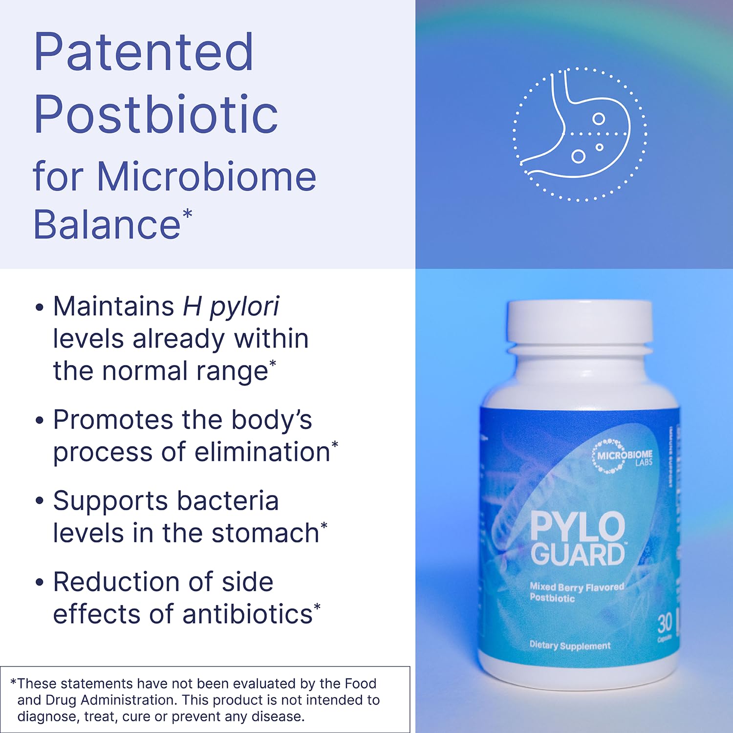Microbiome Labs PyloGuard - Patented L reuteri DSM17648 to Improve Digestive Comfort - Gut Health & Immune Support Supplement - Postbiotic (30 Capsules) Microbiome LabsAu supplements