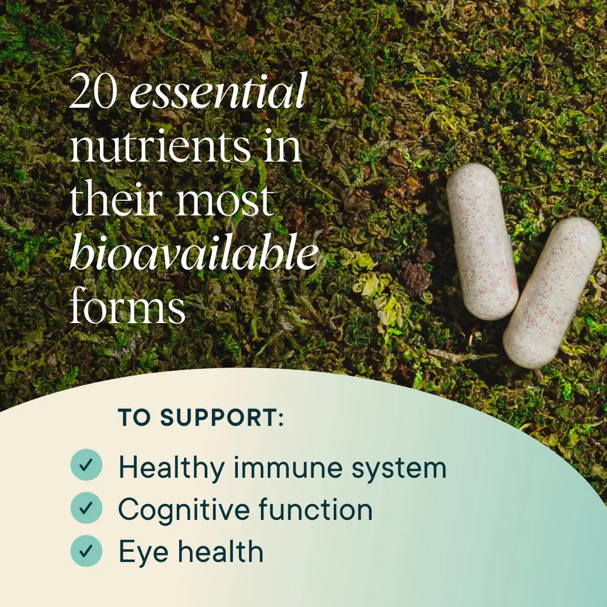 Ora Organic Plant Based Multivitamin for Women and Men, Bluelight Protection - Brain, Eye, Energy, Immune, Skin, Hair, Heart Ora OrganicAu supplements