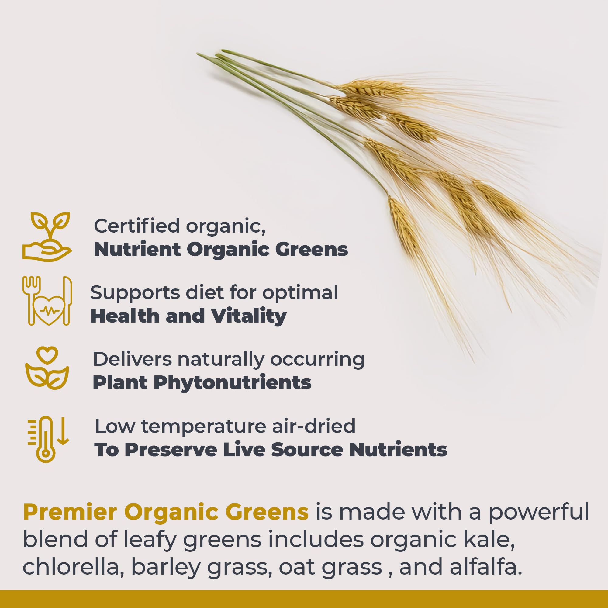 Premier Research Labs Premier Organic Greens - Super Greens Powder, Greens Superfood Powder for Drinks, Green Juice, Nutrition Support, Supergreens for Men & Women, Spinach, Alfalfa, Chlorella - 10 oz Premier Research LabsAu supplements