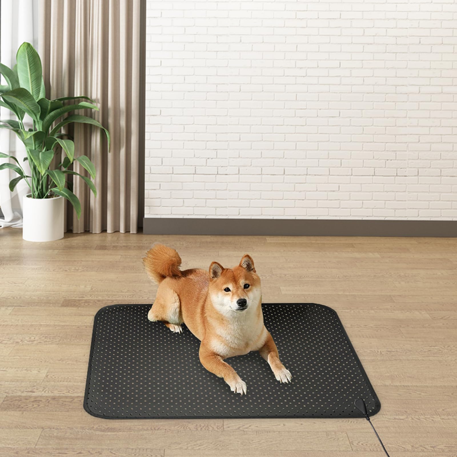 EOHELGRO Grounding Mat, Earth Grounding Mat for Sleeping, Earth Mat Grounding Pad for Energy EOHELGROAu supplements