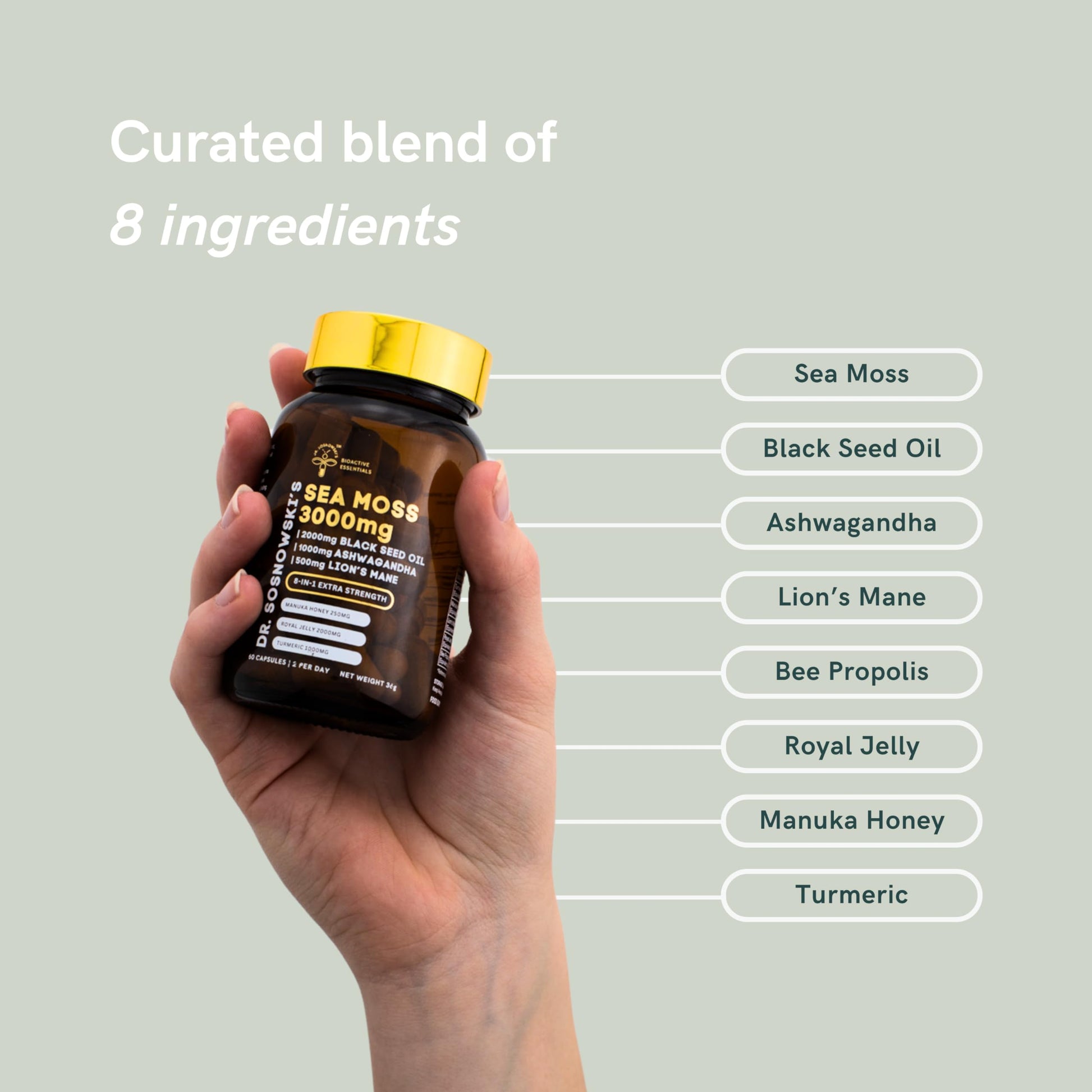 Dr Sosnowski's BioActive Sea Moss | 8-in-1 Formula Enriched with Black Seed, Ashwagandha, Turmeric, Manuka Honey, Lion's Mane, Royal Jelly, Bee Propolis Extract | 60 Capsules Dr Sosnowski'sAu supplements