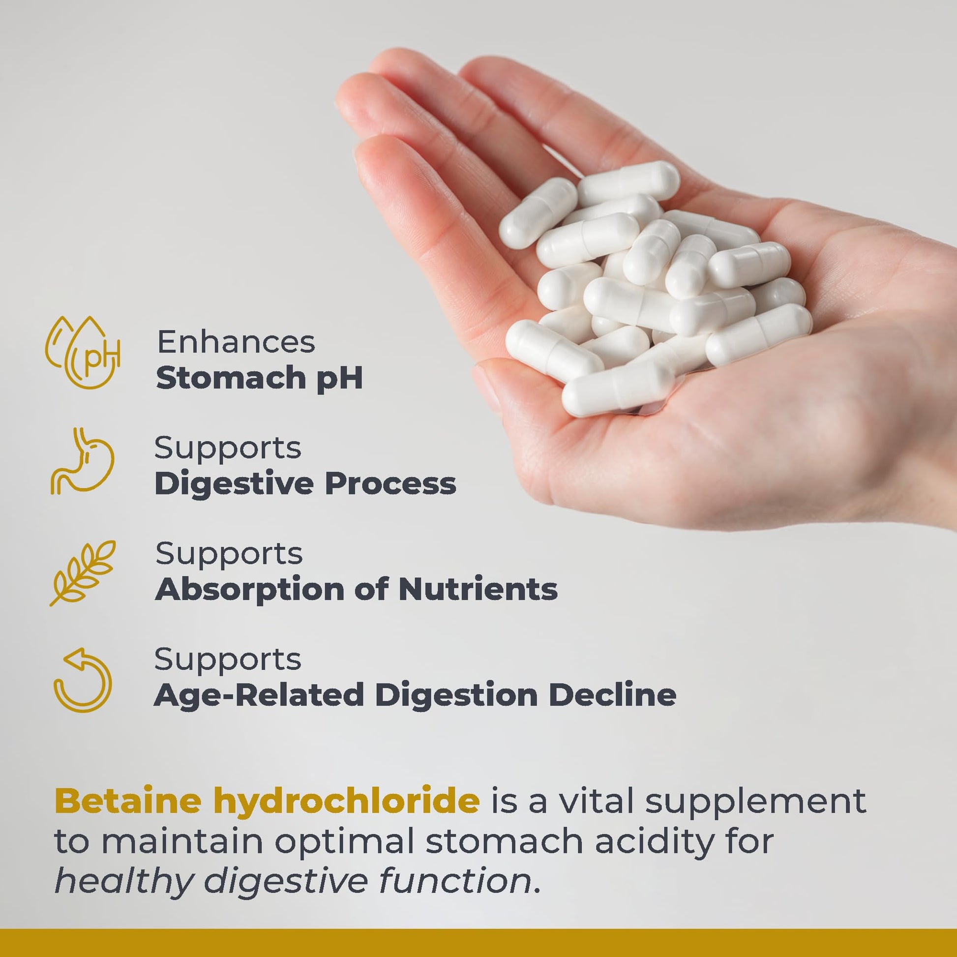 Premier Research Labs Premier HCL - Betaine HCL, Betaine Hydrochloride Supplement for Optimal Digestive Function, Nutrient Absorption, Betaine-HCL for Low Stomach Acid- 90 Vegetarian Capsules (2 Pack) Premier Research LabsAu supplements
