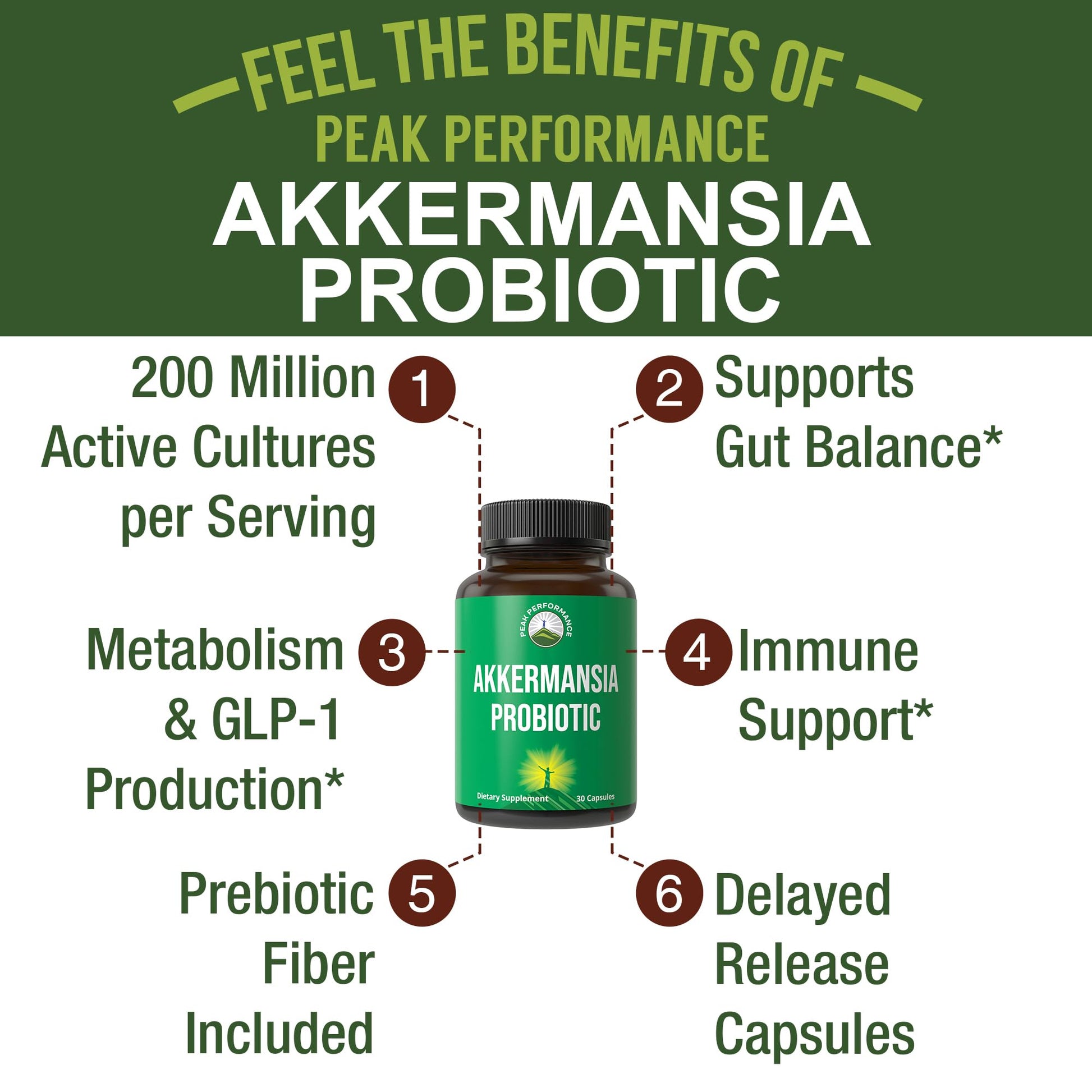 Akkermansia Probiotic to Increase GLP-1 Production. Ultra High Strength Akkermansia Muciniphila Live Strain with Prebiotic Fiber for Gut Health & Microbiome Balance. Delayed Release, 3rd Party Tested Peak PerformanceAu supplements