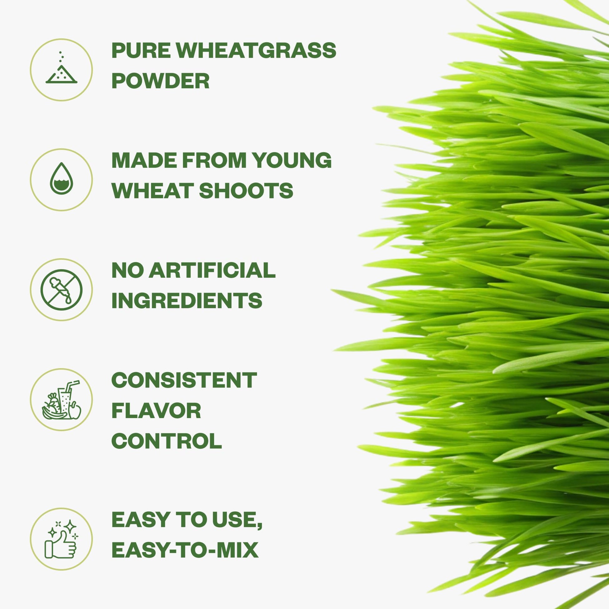 Purisure Wheatgrass Powder, 8oz, Wheat Grass Powder, Green Superfood for Salads, Smoothie and Shakes, Superfood Powder Rich in Immunity Vitamins, Fiber and Minerals, 76 Servings PurisureAu supplements