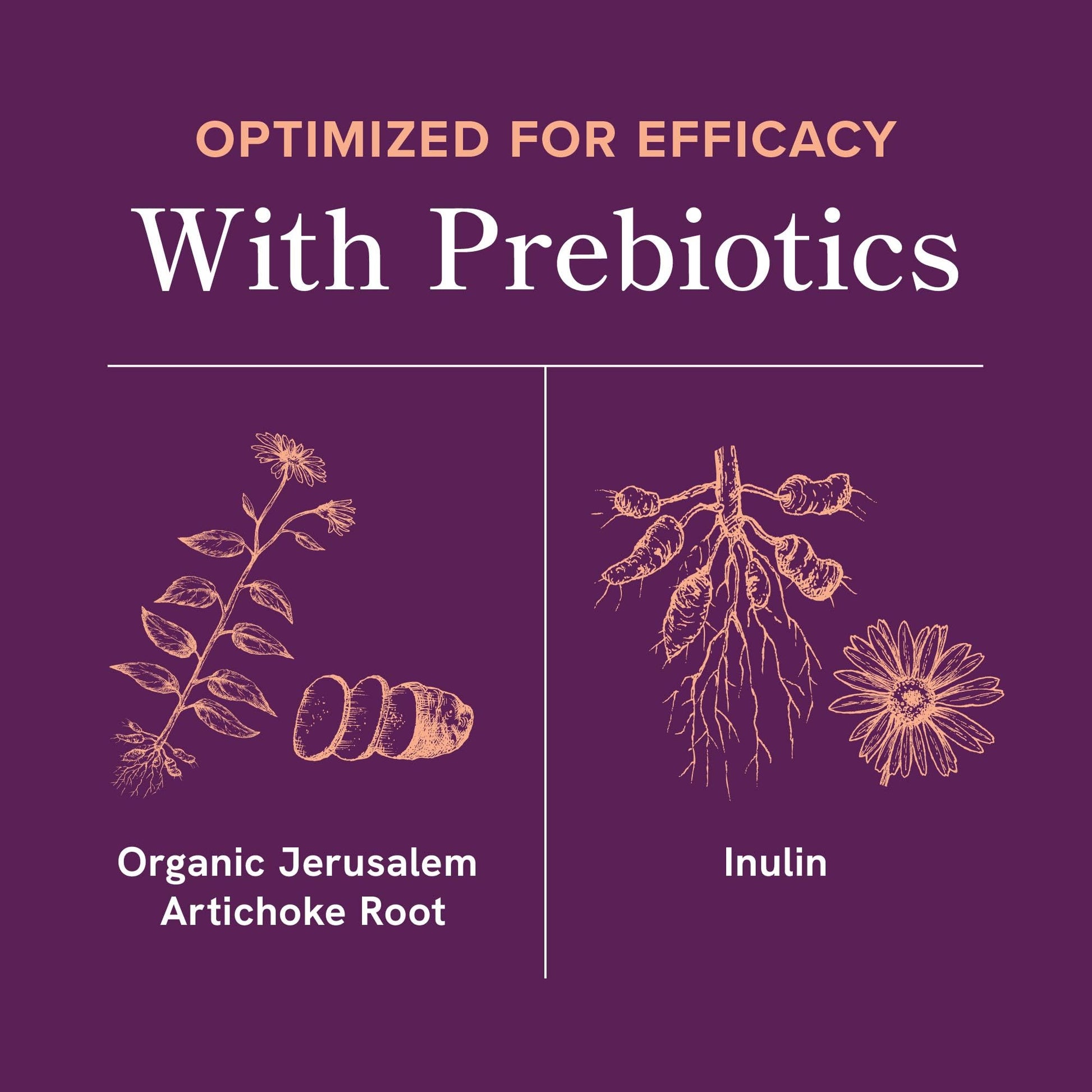 Menopause Support with Prebiotics and Probiotics for Women | Hormone Balance, Hot Flashes & Night Sweats | 50 Billion CFU, DIM & Black Cohosh | Triple Action Menopause Supplements for Women | 30 Ct SMNutritionAu supplements