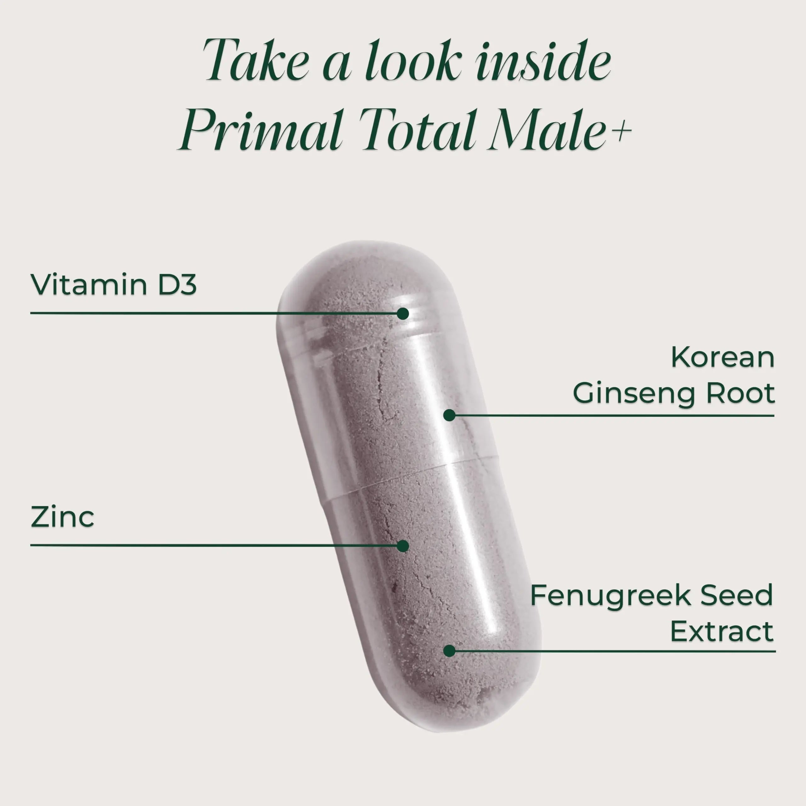 Primal Harvest Total Male+ Multivitamin for Men Vitamins, Minerals and Herbal Support for Energy, Vitality, Immune Health Primal HarvestAu supplements