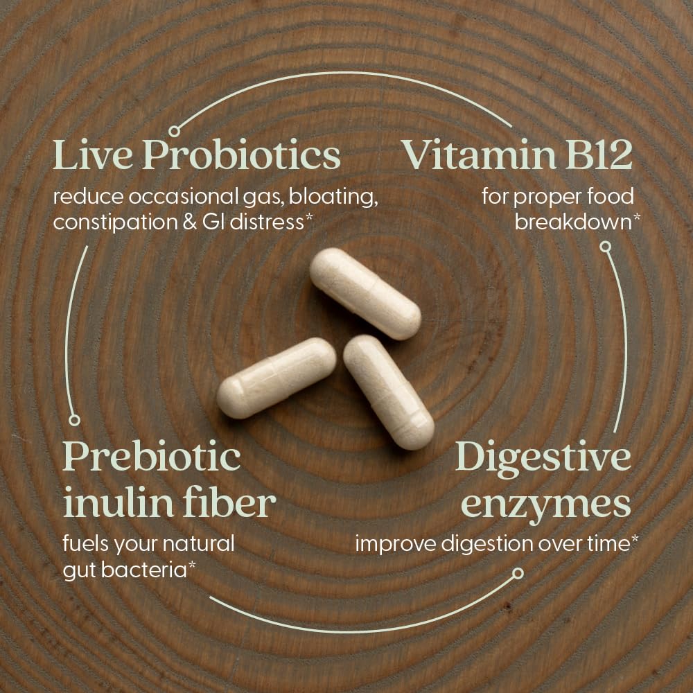 New Chapter All-Flora Enzyme Complex with Probiotics Relieves Bloating & Gas - Clinical-Strength Digestive Enzymes + Ultra-Concentrated Probiotics + Fermented Vitamin B12, 90 Vegan Capsules New ChapterAu supplements