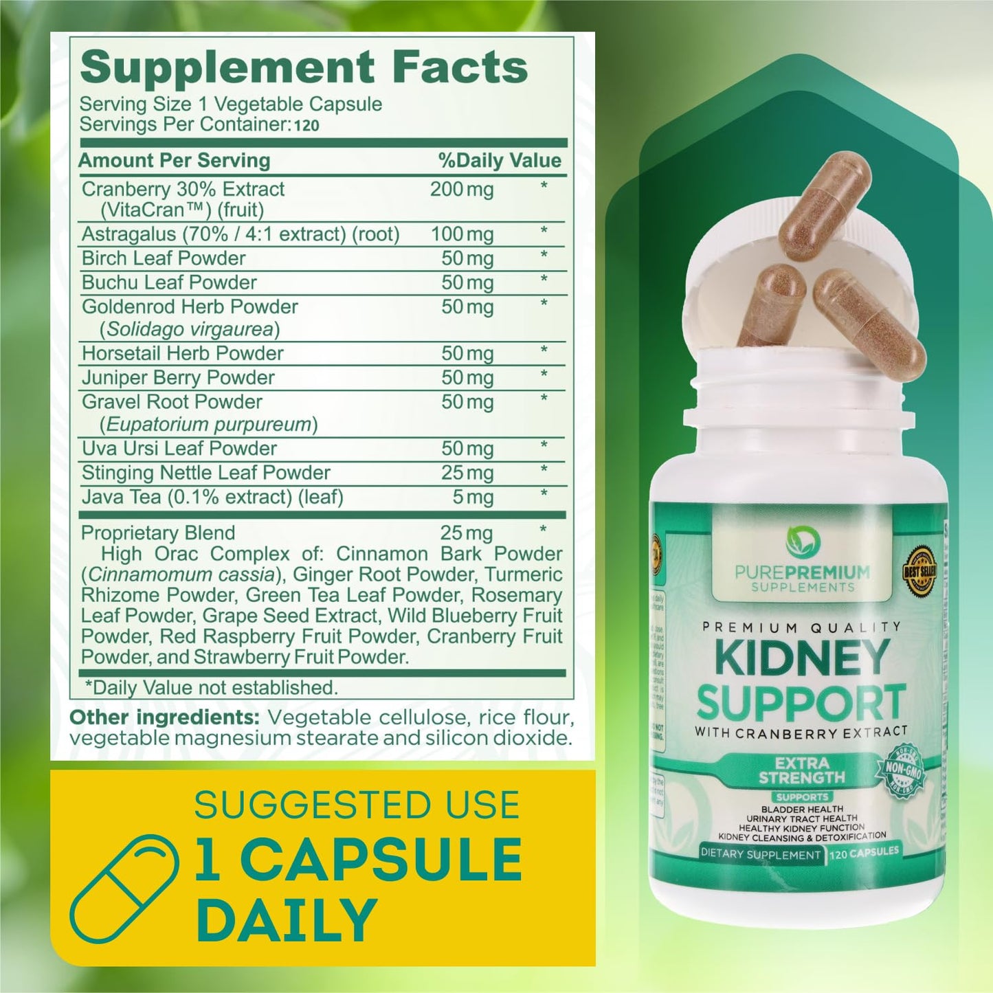 PurePremium Kidney Support Supplement for Men and Women - with Cranberry Extract PurePremium SupplementsUS supplements