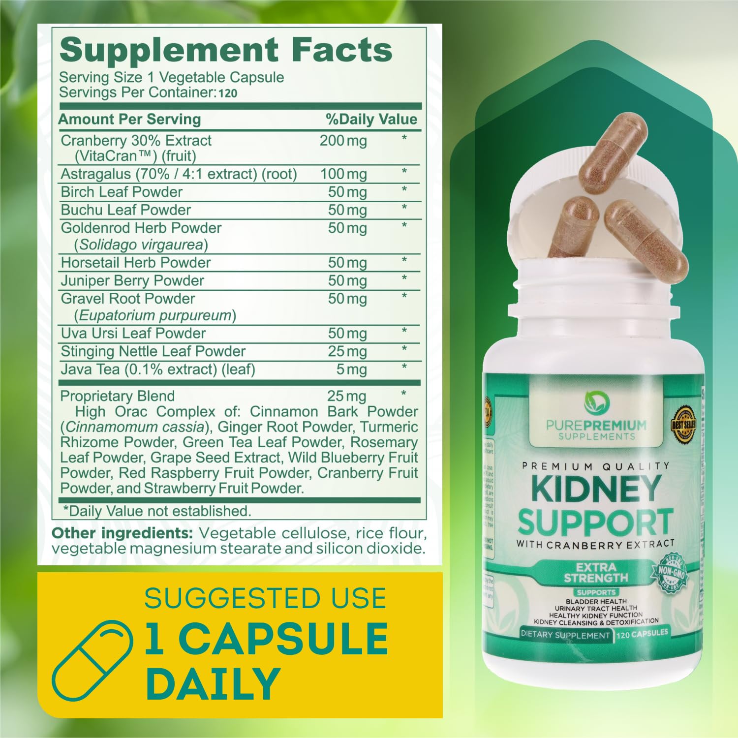 PurePremium Kidney Support Supplement for Men and Women - with Cranberry Extract PurePremium SupplementsAu supplements