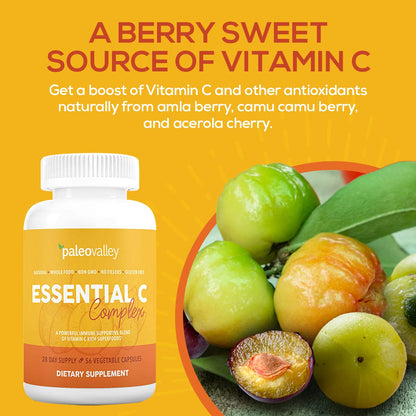Paleovalley Essential C Complex - Vitamin C Supplement for Immune Support - 1 Pack, 450mg - Organic Superfoods Unripe Acerola Cherry, Camu Camu, Amla Berry PaleovalleyUS supplements