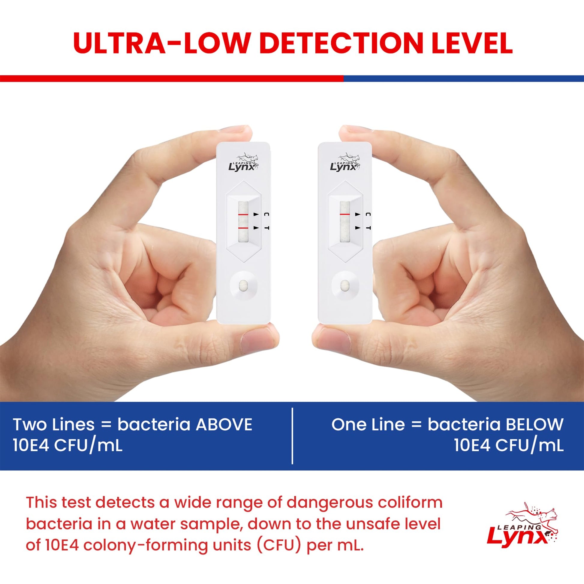Bacteria Water Test Kit – Coliform, E. coli & Salmonella Detection for Well & Tap Water | Rapid Home Drinking Water Screening Kit with Lab-Quality Results | Leaping Lynx Leaping LynxAu supplements