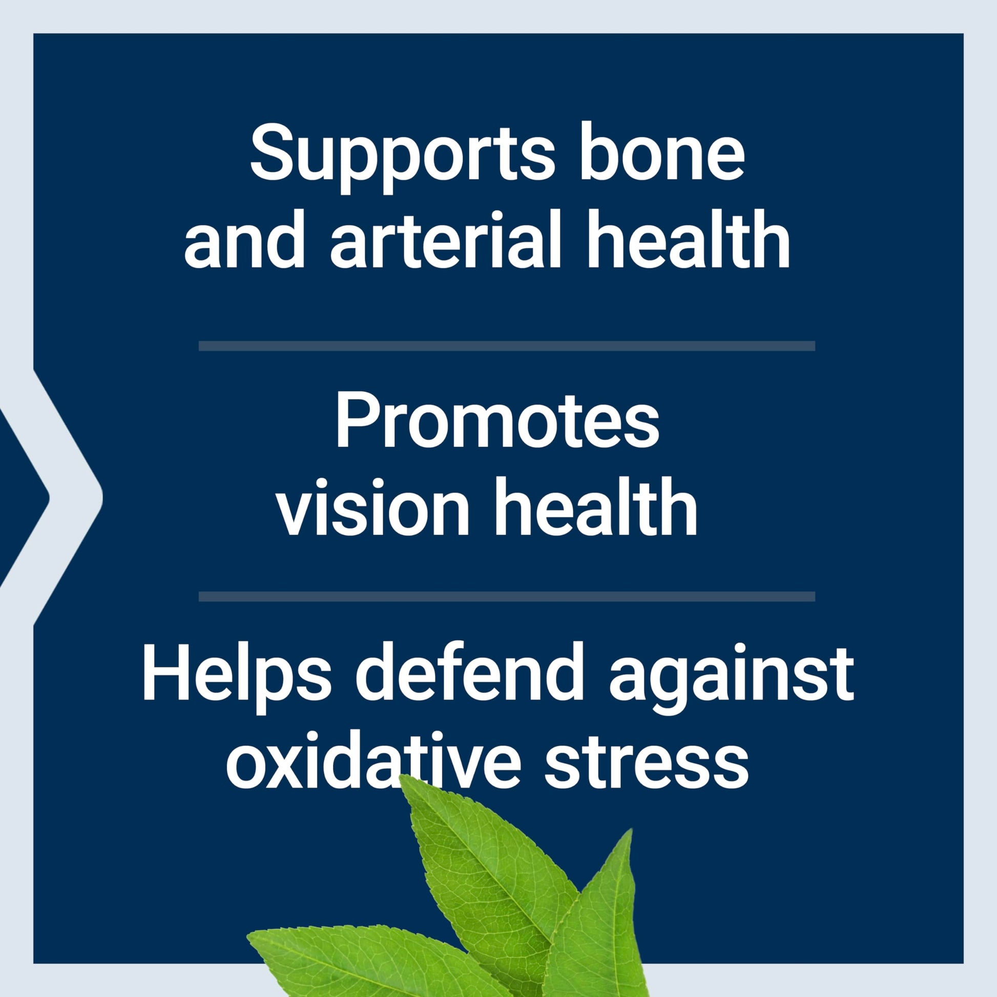 Life Extension Once-Daily Health Booster, Vitamins E, K1 & K2, phospholipids, Fat-Soluble nutrients for Eye Health, Bone Health, Heart Health, Gluten-Free, 1 Daily, Non-GMO, 30 softgels Life ExtensionAu supplements