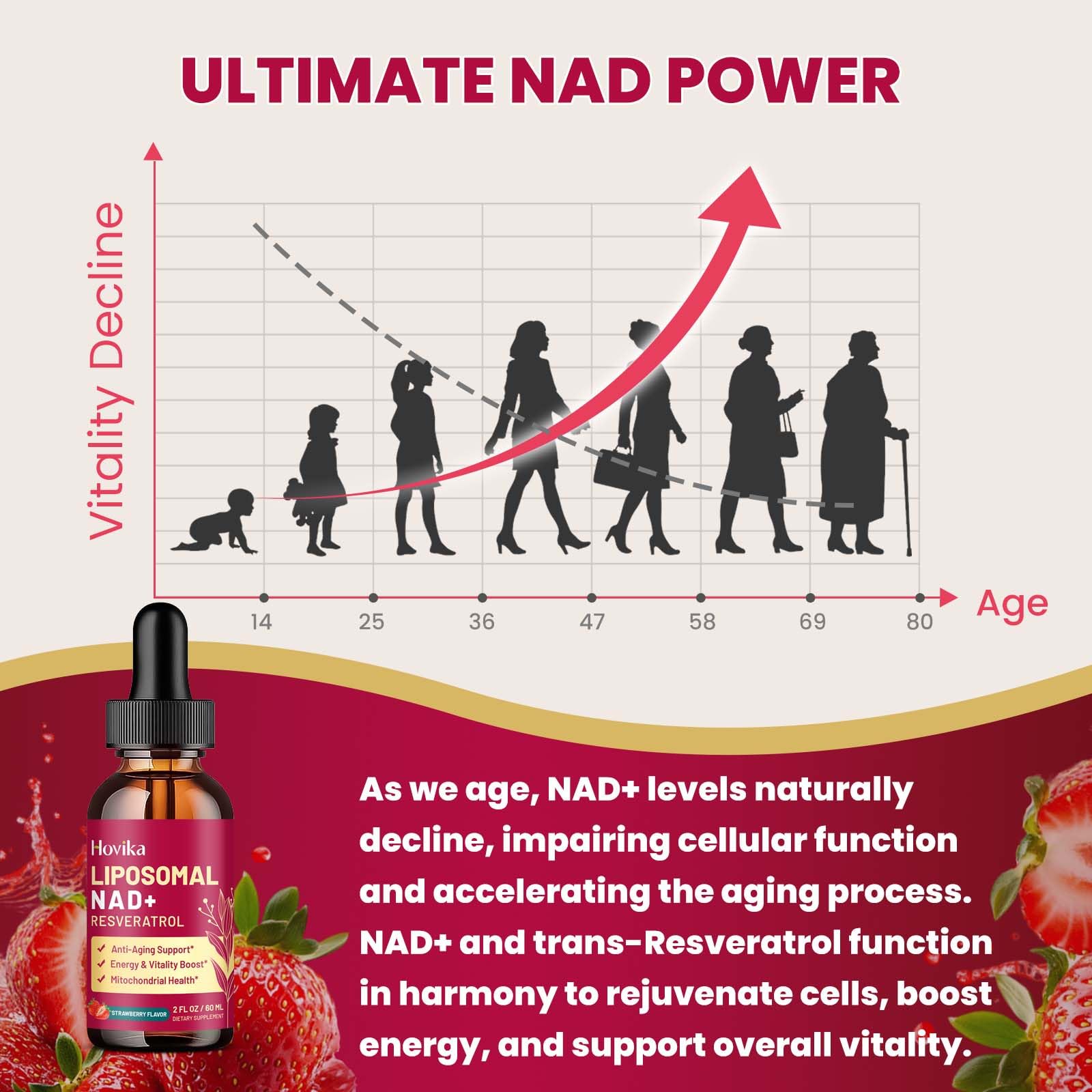 Liposomal NAD Supplement - 1200mg NAD+ Liquid Drops for Women & Men with Resveratrol, Black Pepper Extract - Support Anti-Aging, Brain & Cellular Mitochondrial Health - 2 Fl Oz, Strawberry Flavor HovikaAu supplements